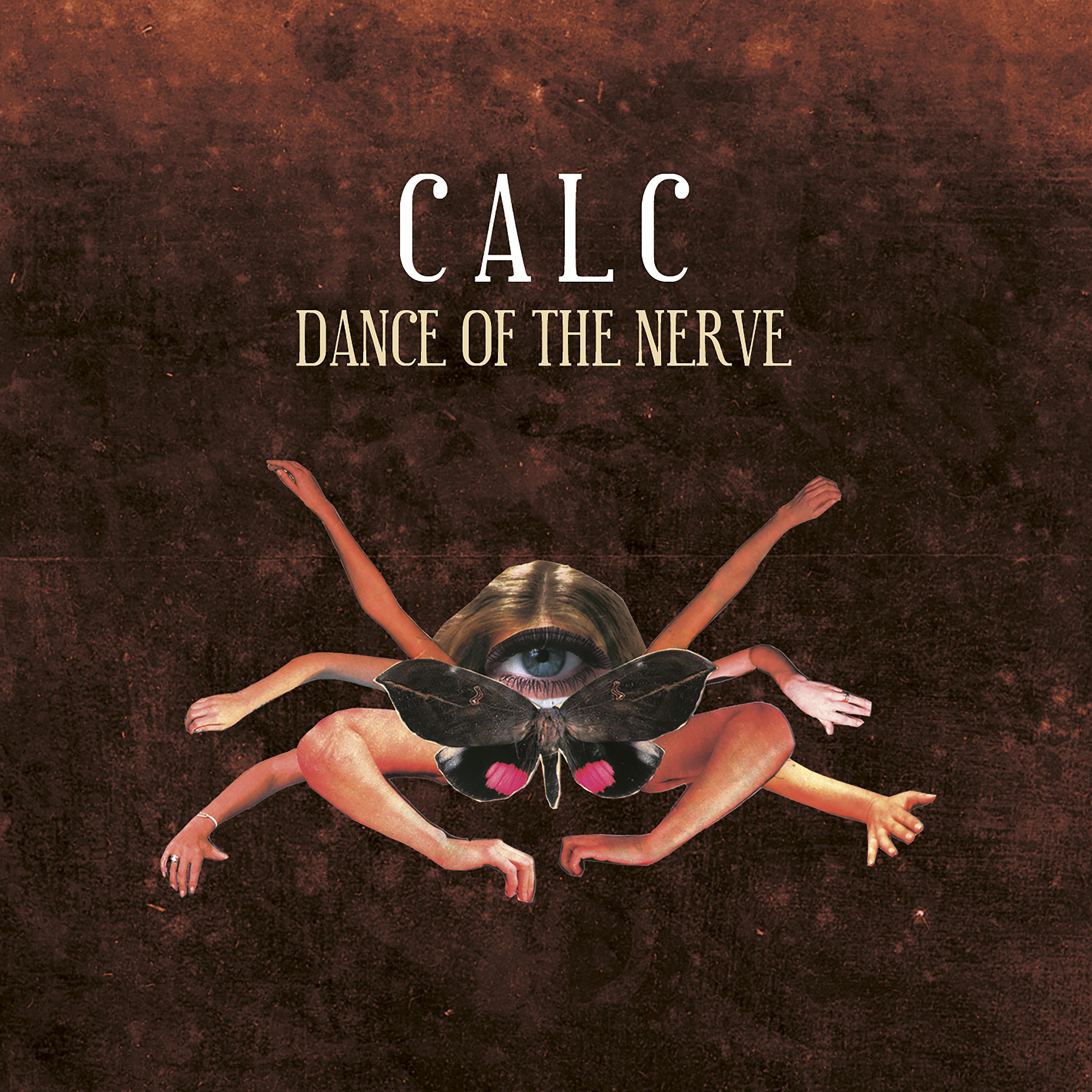 Постер альбома Dance of the Nerve