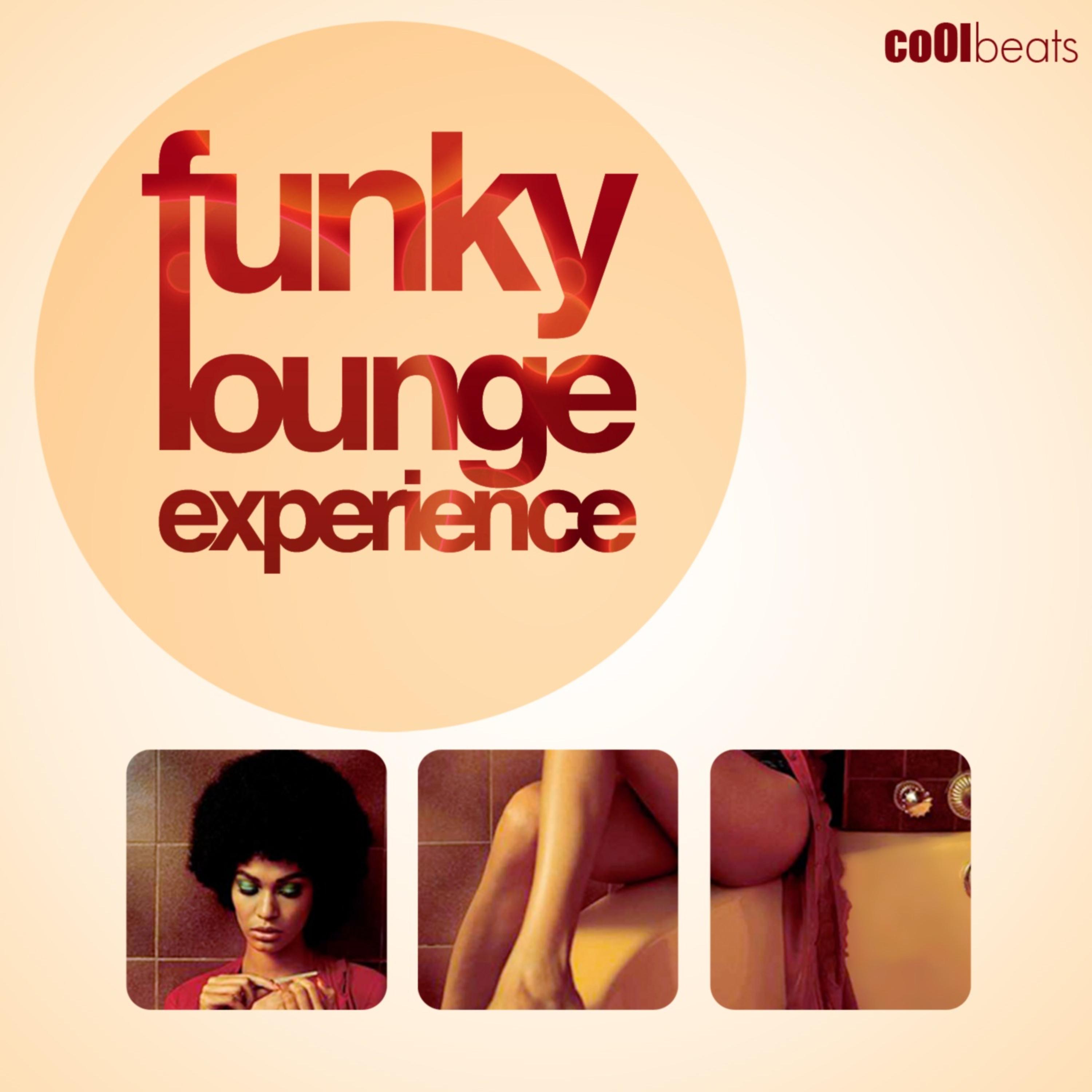 Постер альбома Funky Lounge Experience