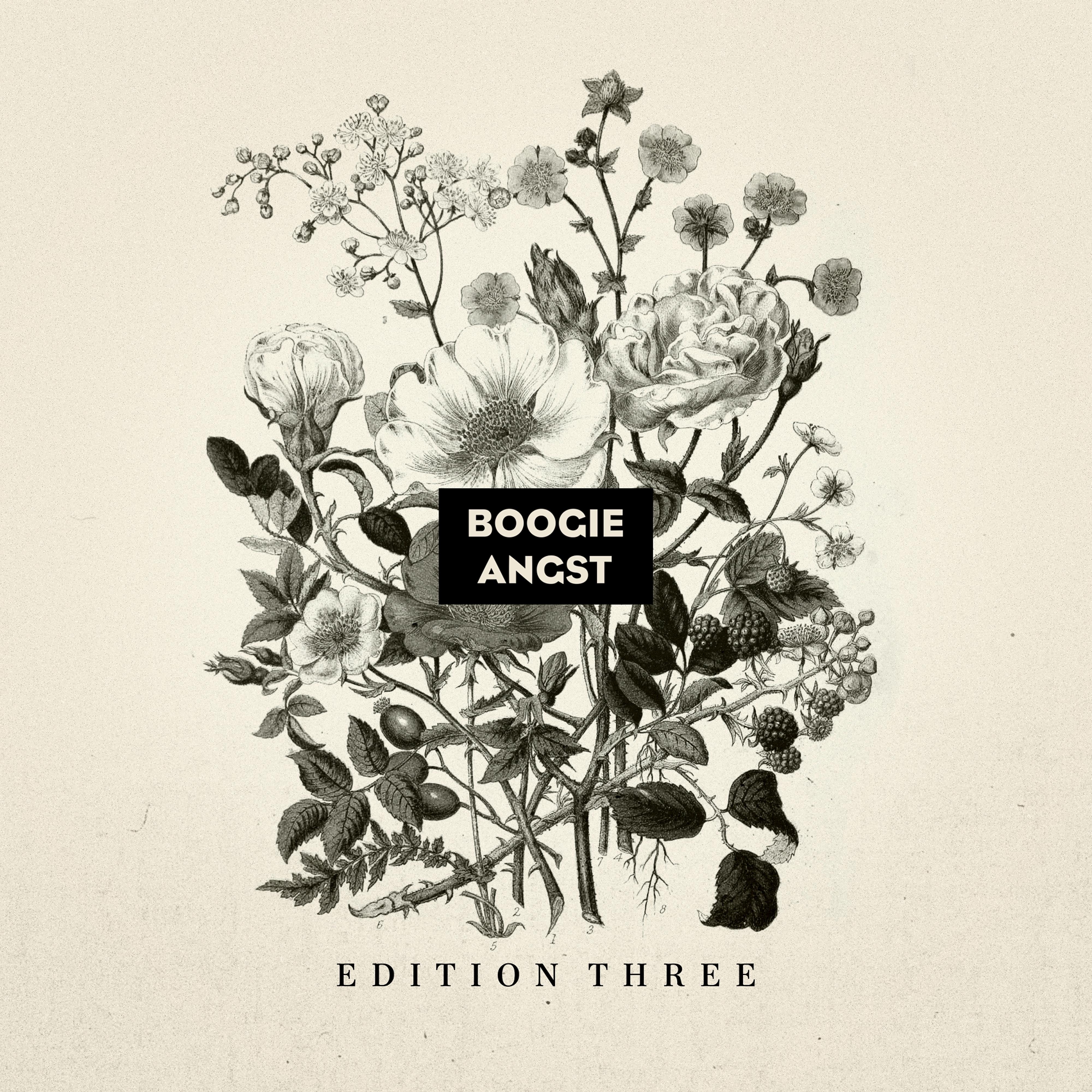 Постер альбома Boogie Angst Edition Three