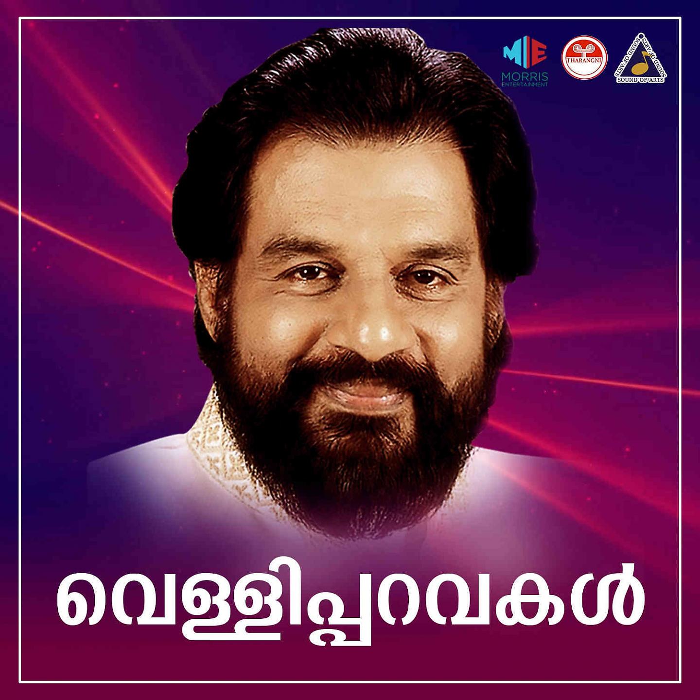 Постер альбома Vellipparavakal