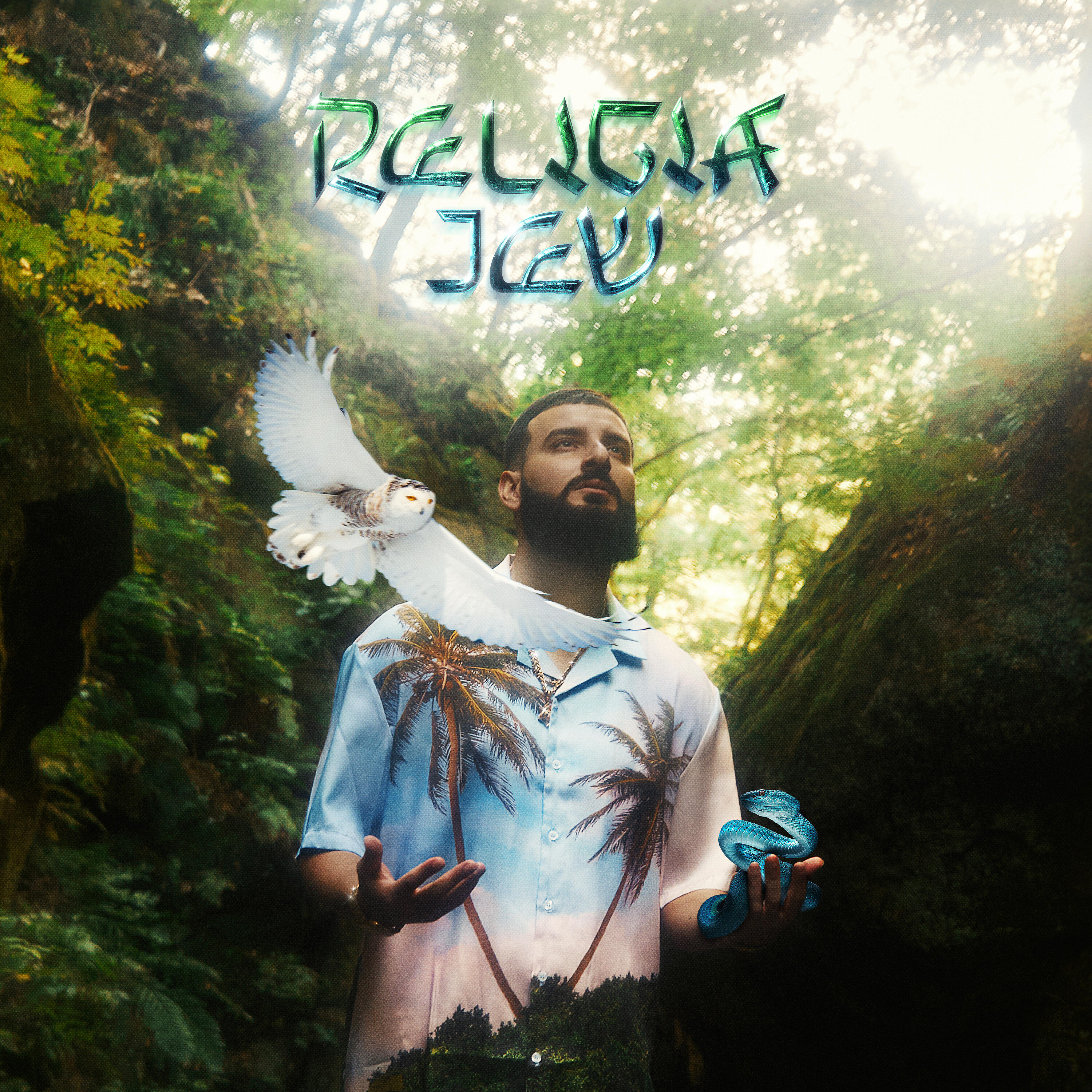 Dzhudi, Аш 23 - Шнурки