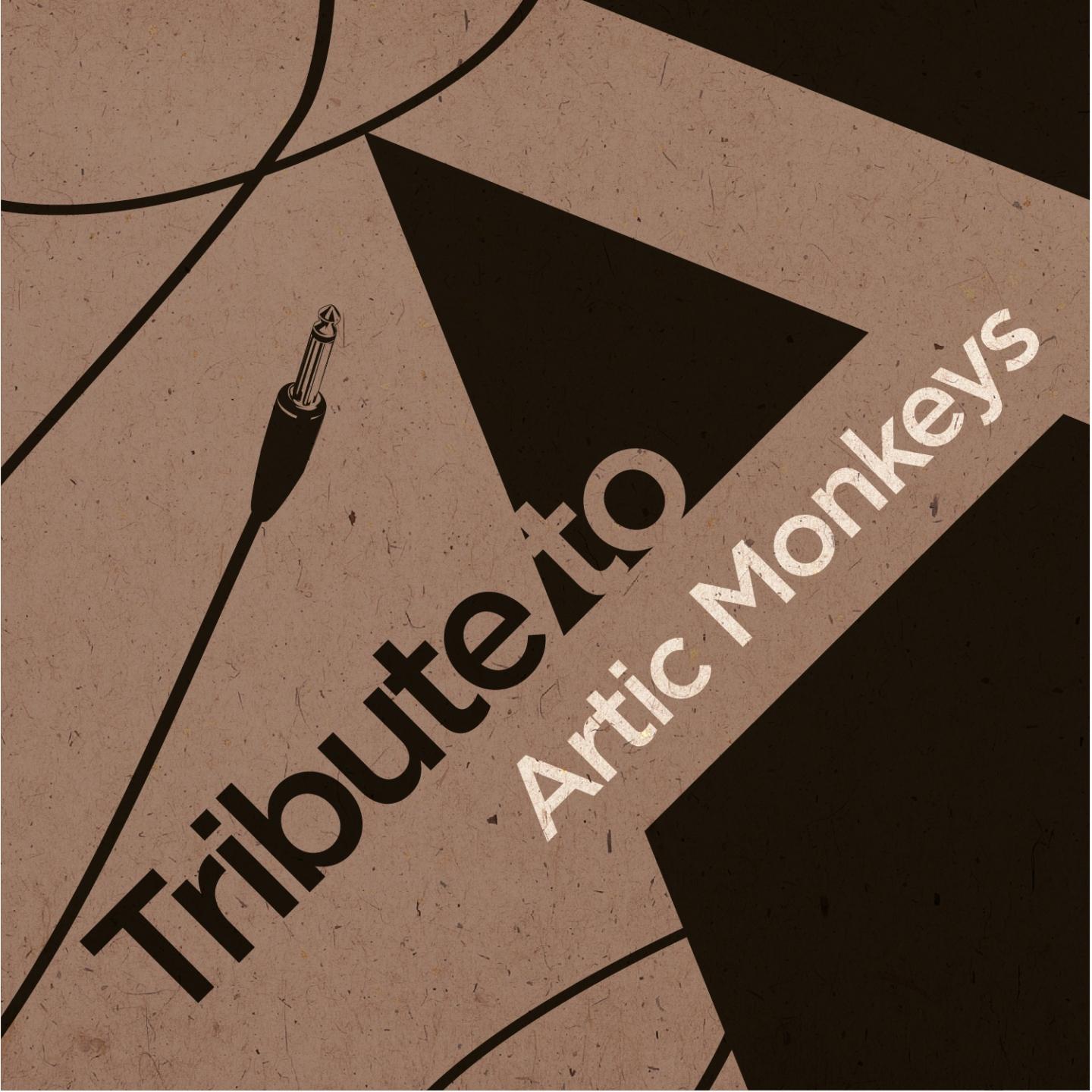 Постер альбома Tribute to Arctic Monkeys