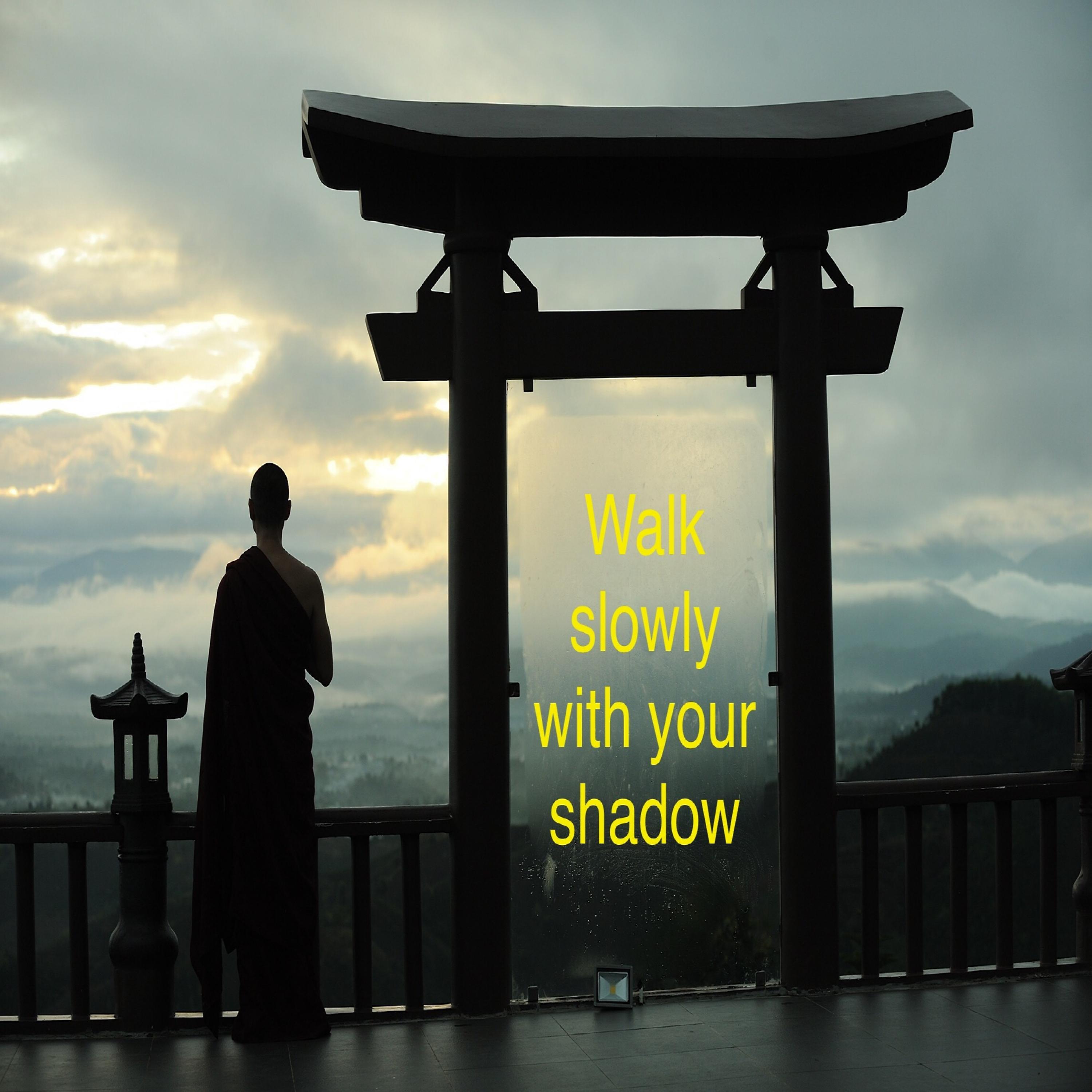Постер альбома Walk Slowly with Your Shadow