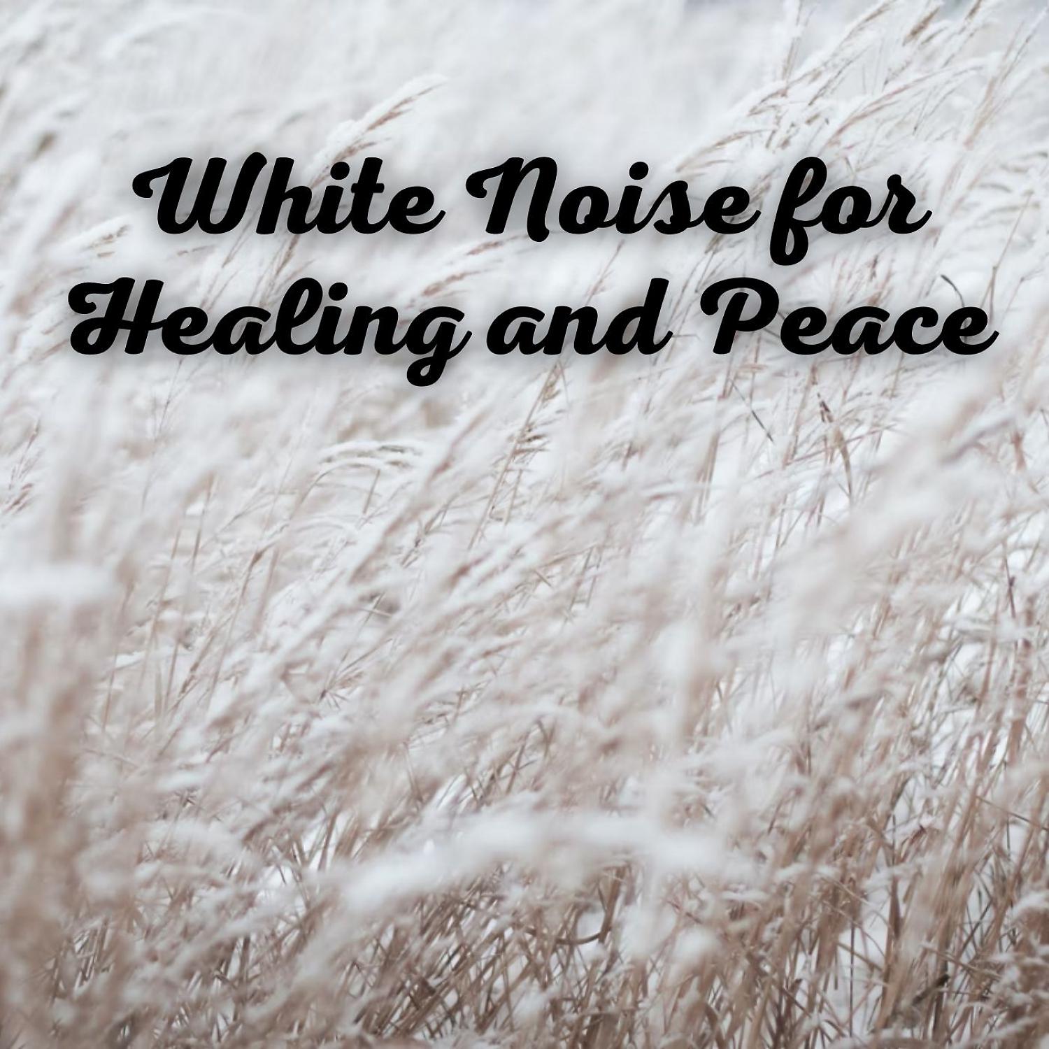 Постер альбома White Noise for Healing and Peace