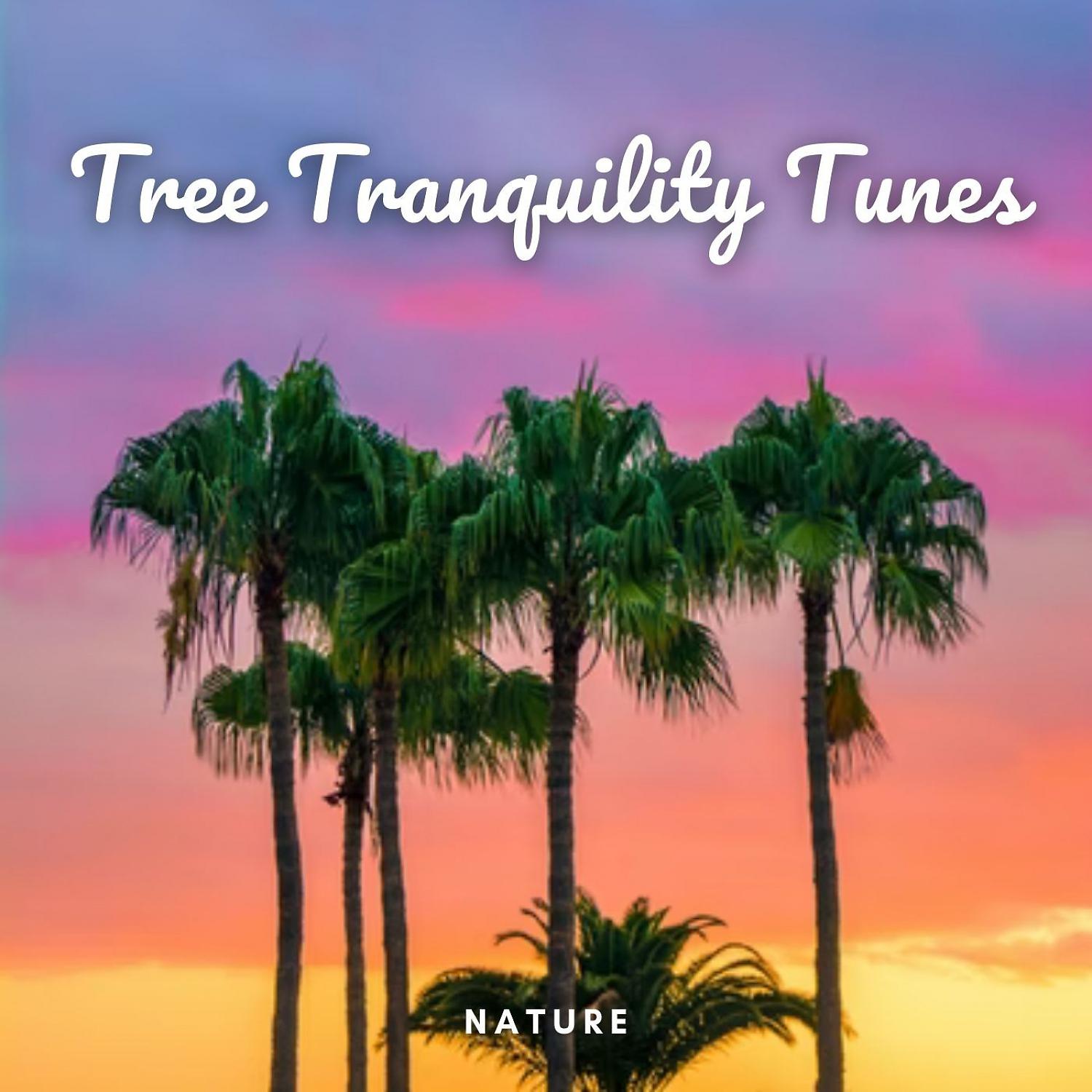 Постер альбома Nature: Tree Tranquility Tunes