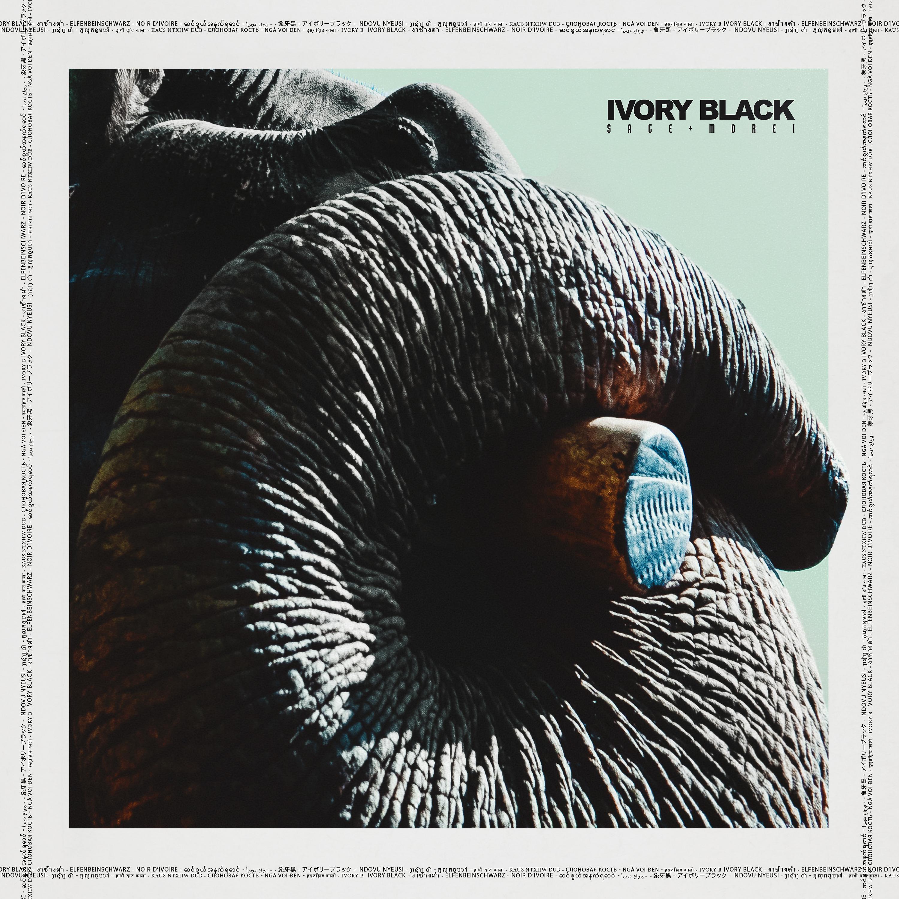 Постер альбома Ivory Black
