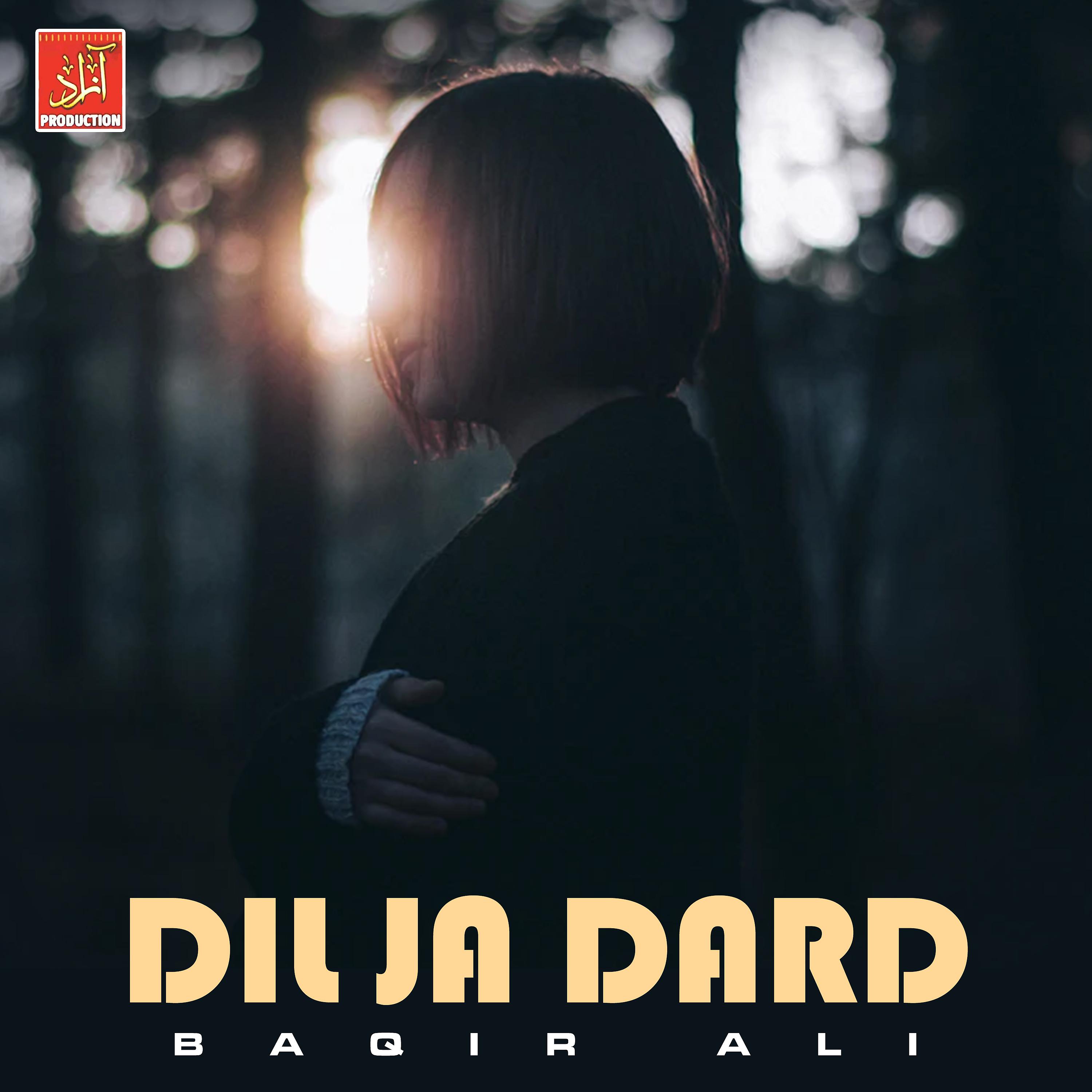Постер альбома Dil Ja Dard
