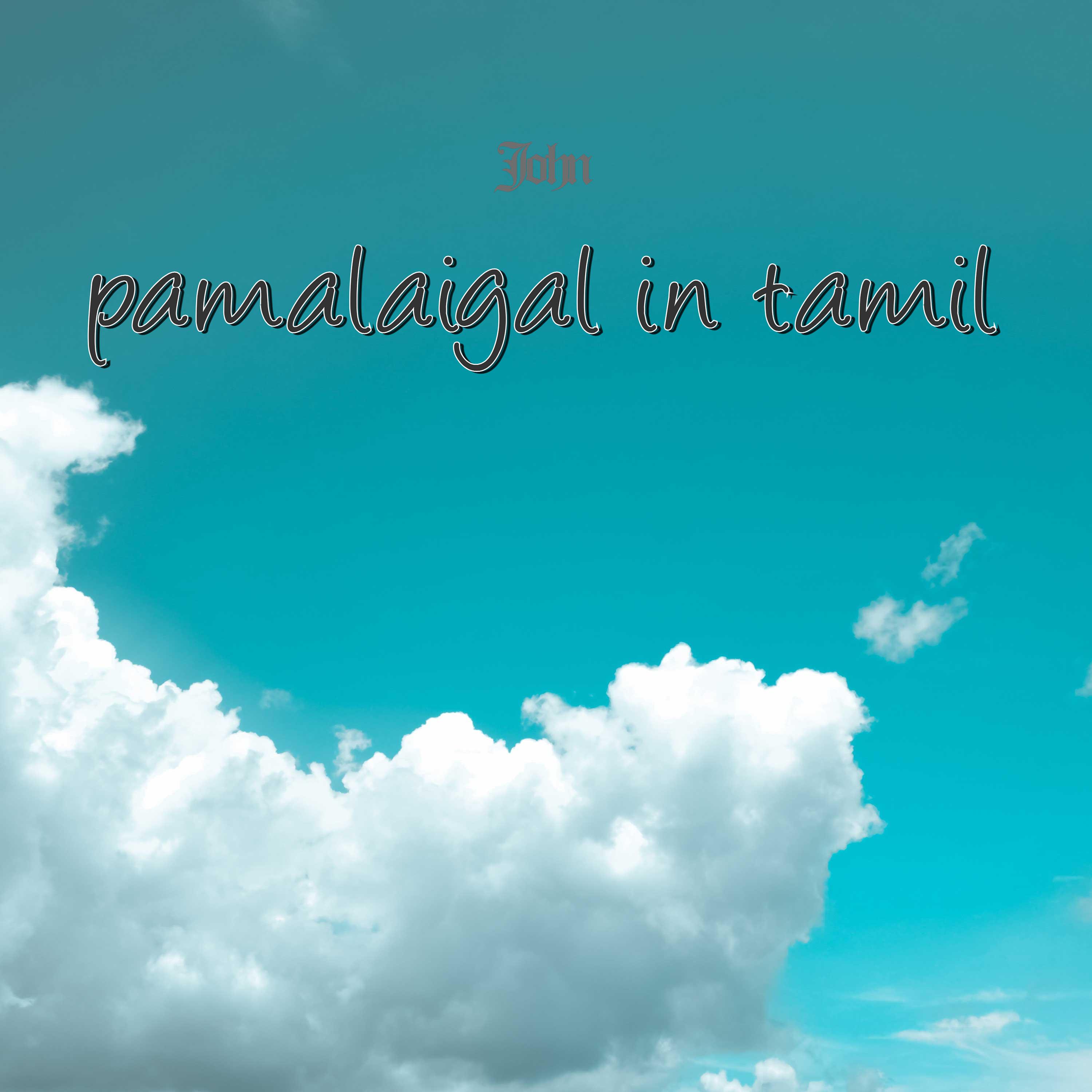Постер альбома Pamalaigal In Tamil