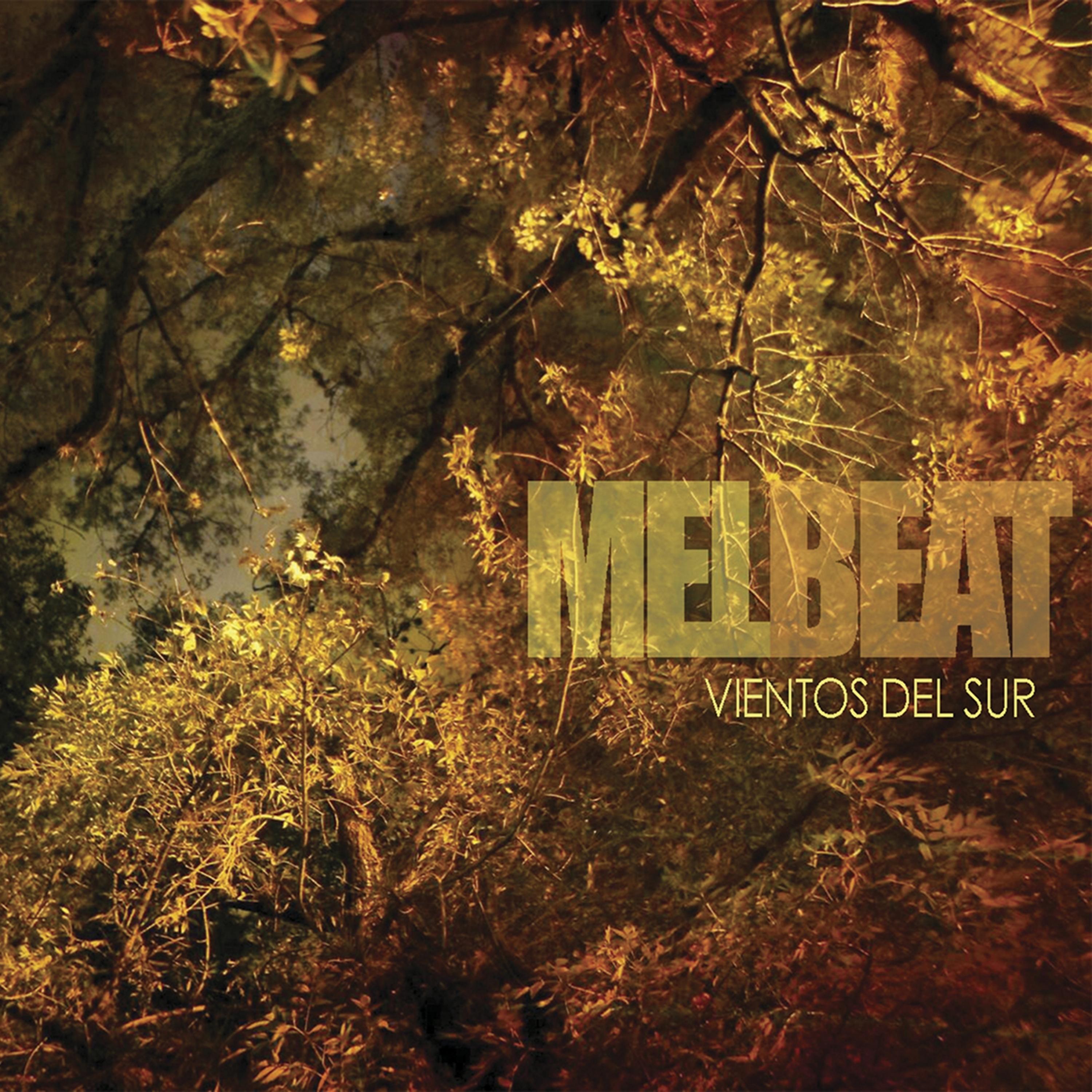 Постер альбома Vientos del sur