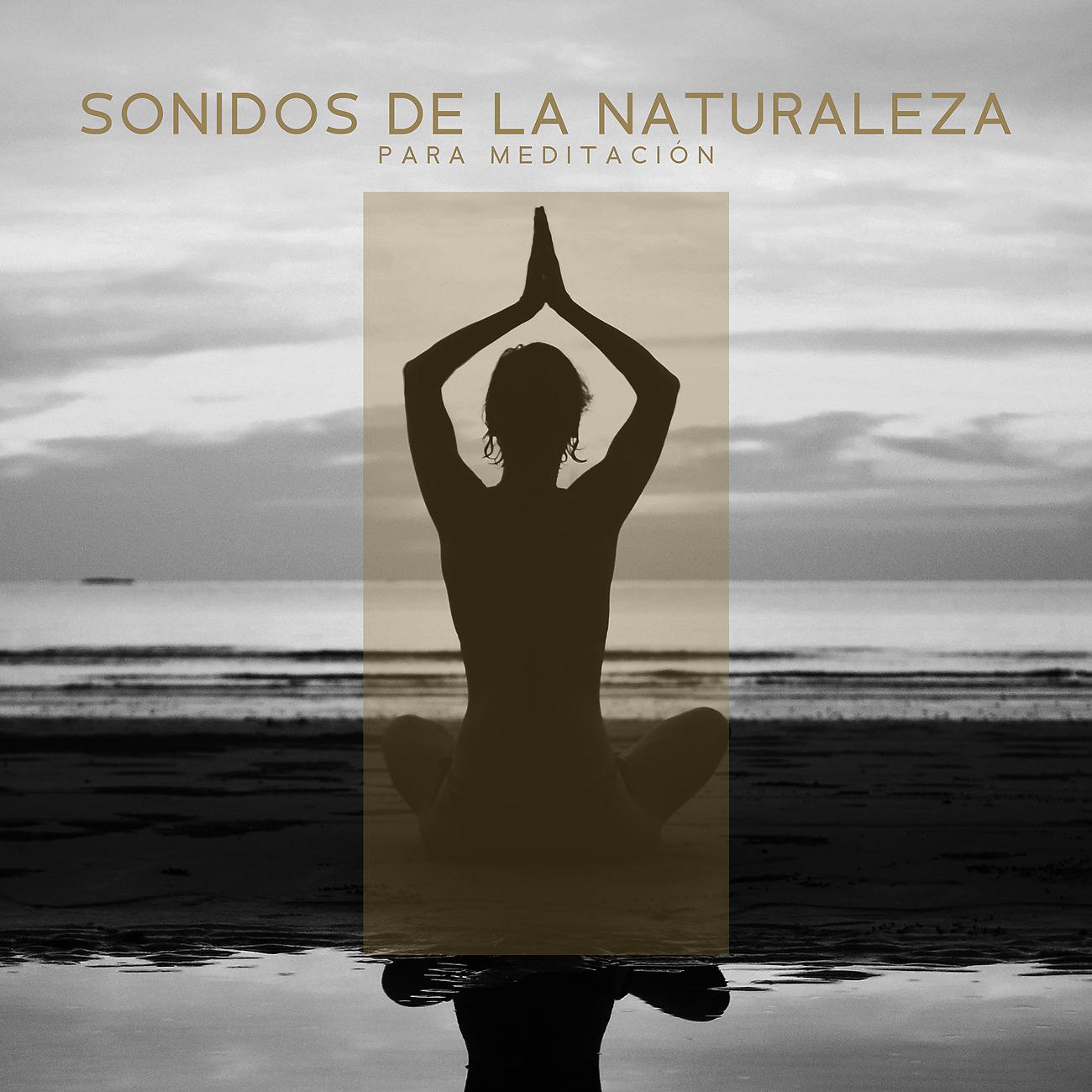 Постер альбома Sonidos de la Naturaleza para Meditación