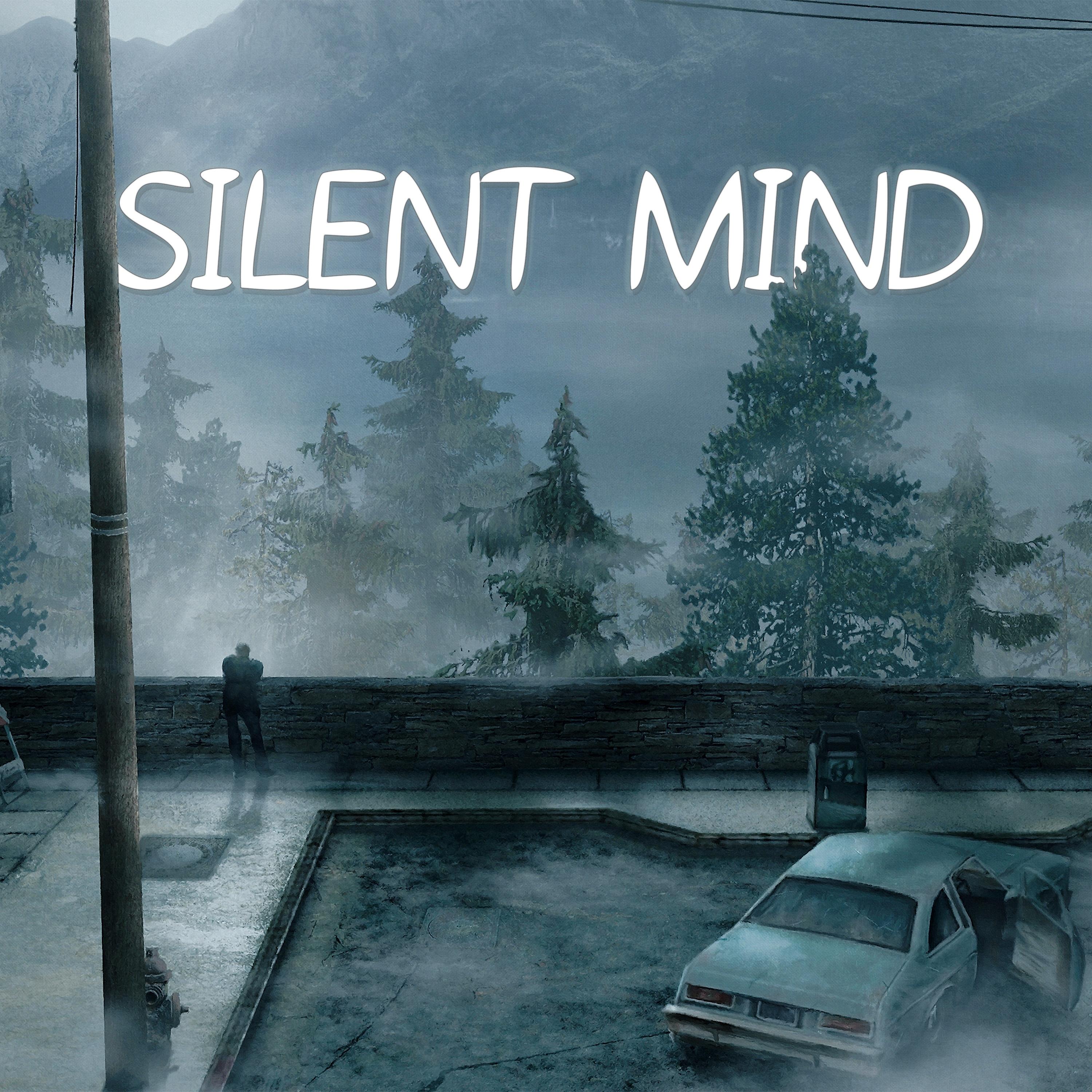 Постер альбома Silent Mind