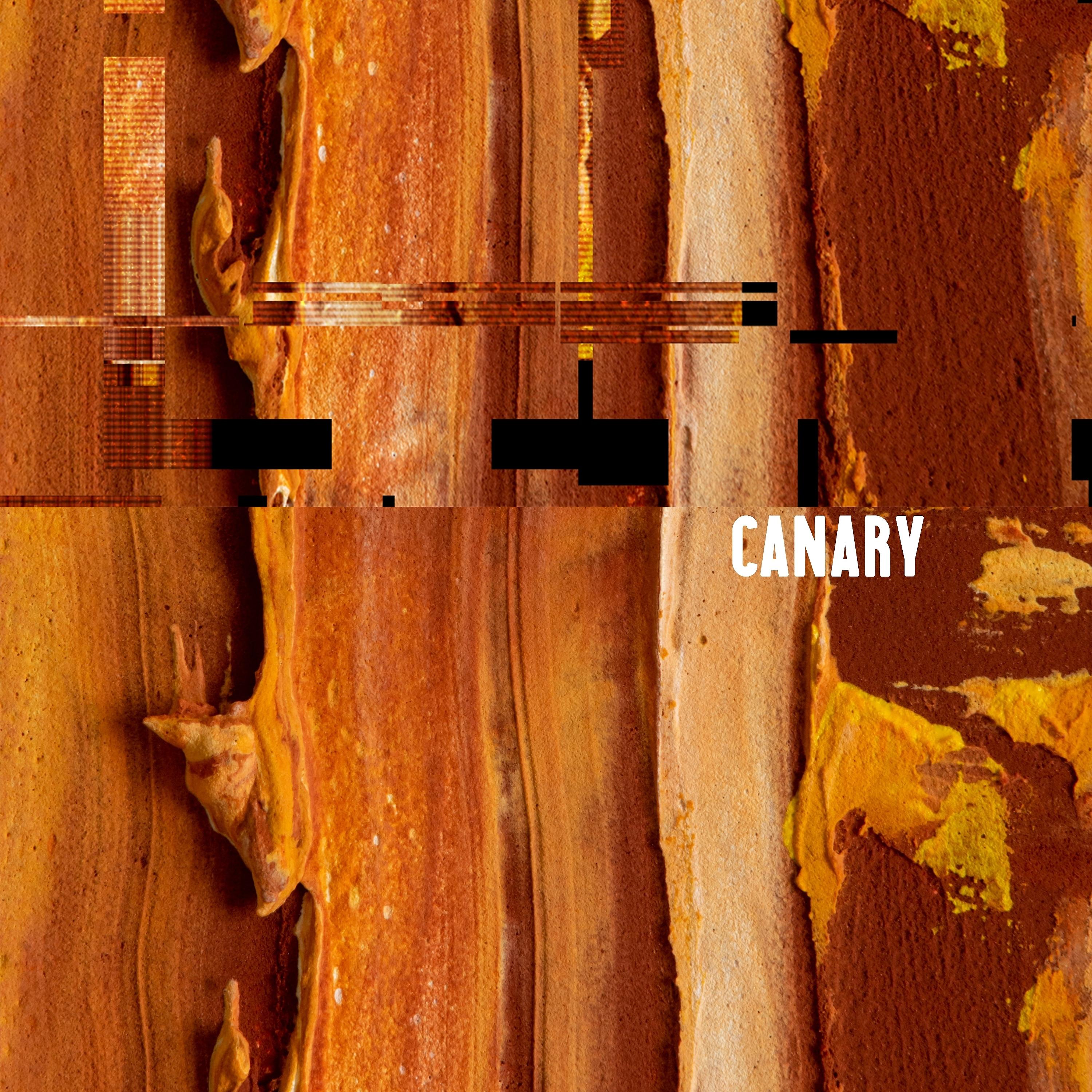 Постер альбома Canary