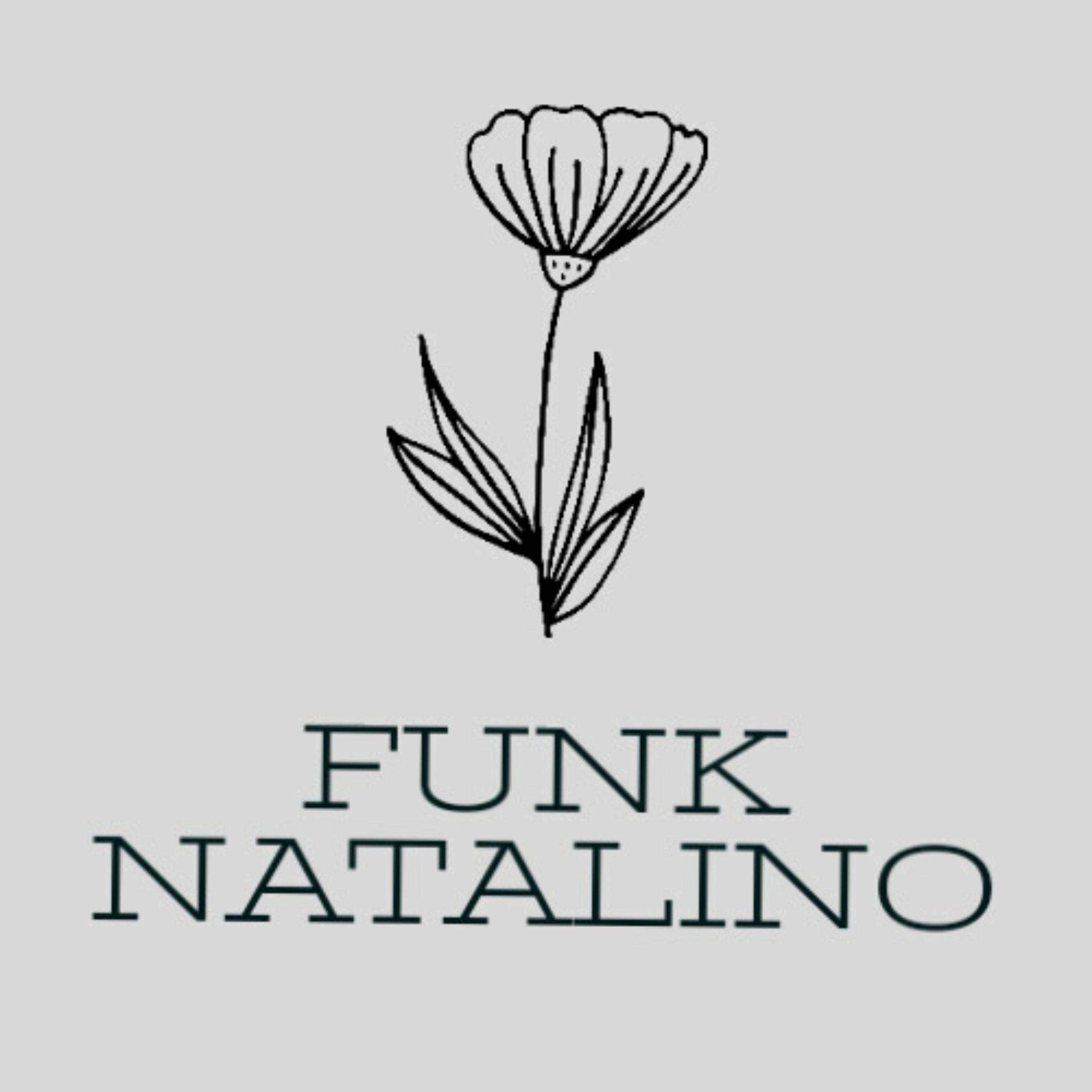Постер альбома FUNK NATALINO