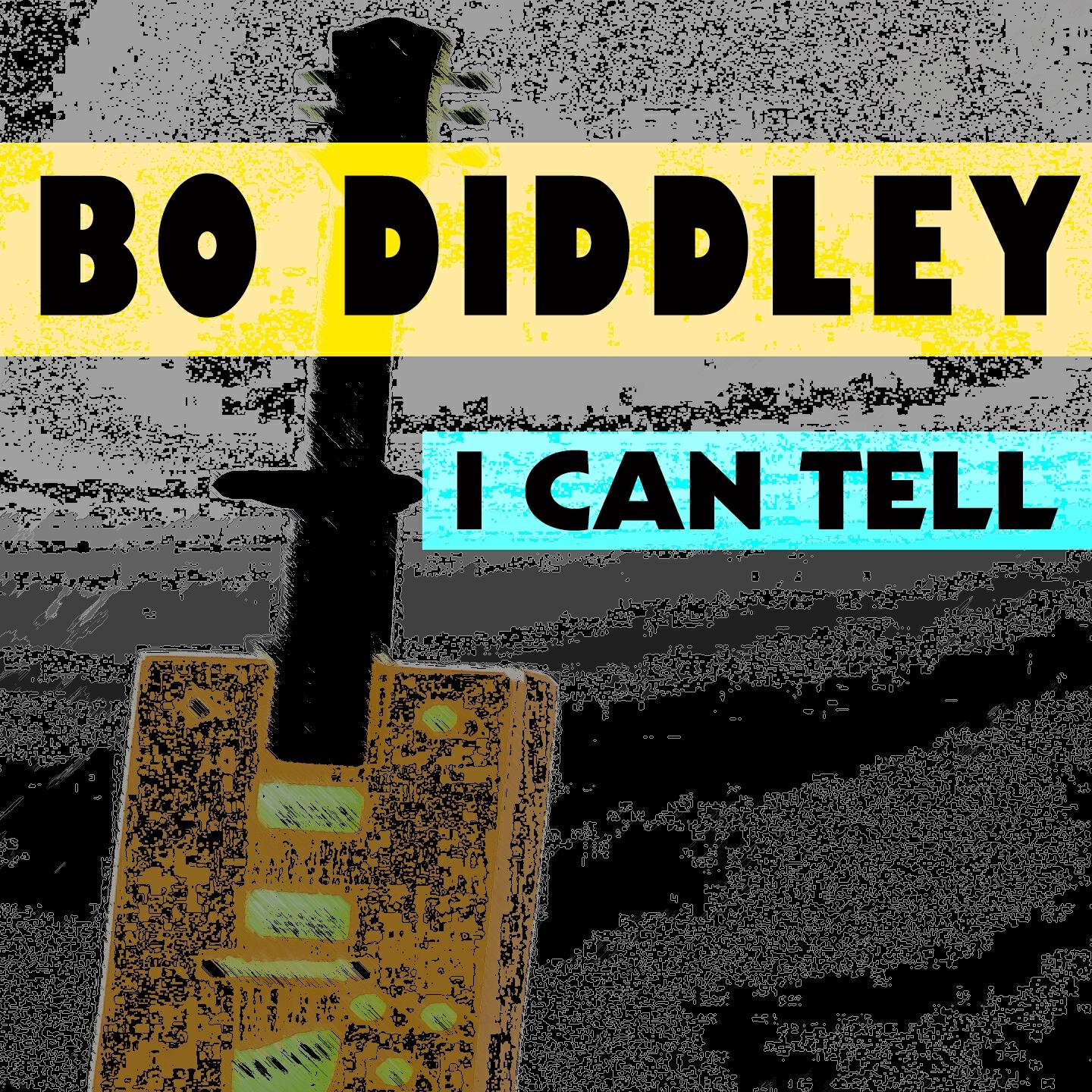 Bo Diddley - Mama Don't Allow No Twistin'