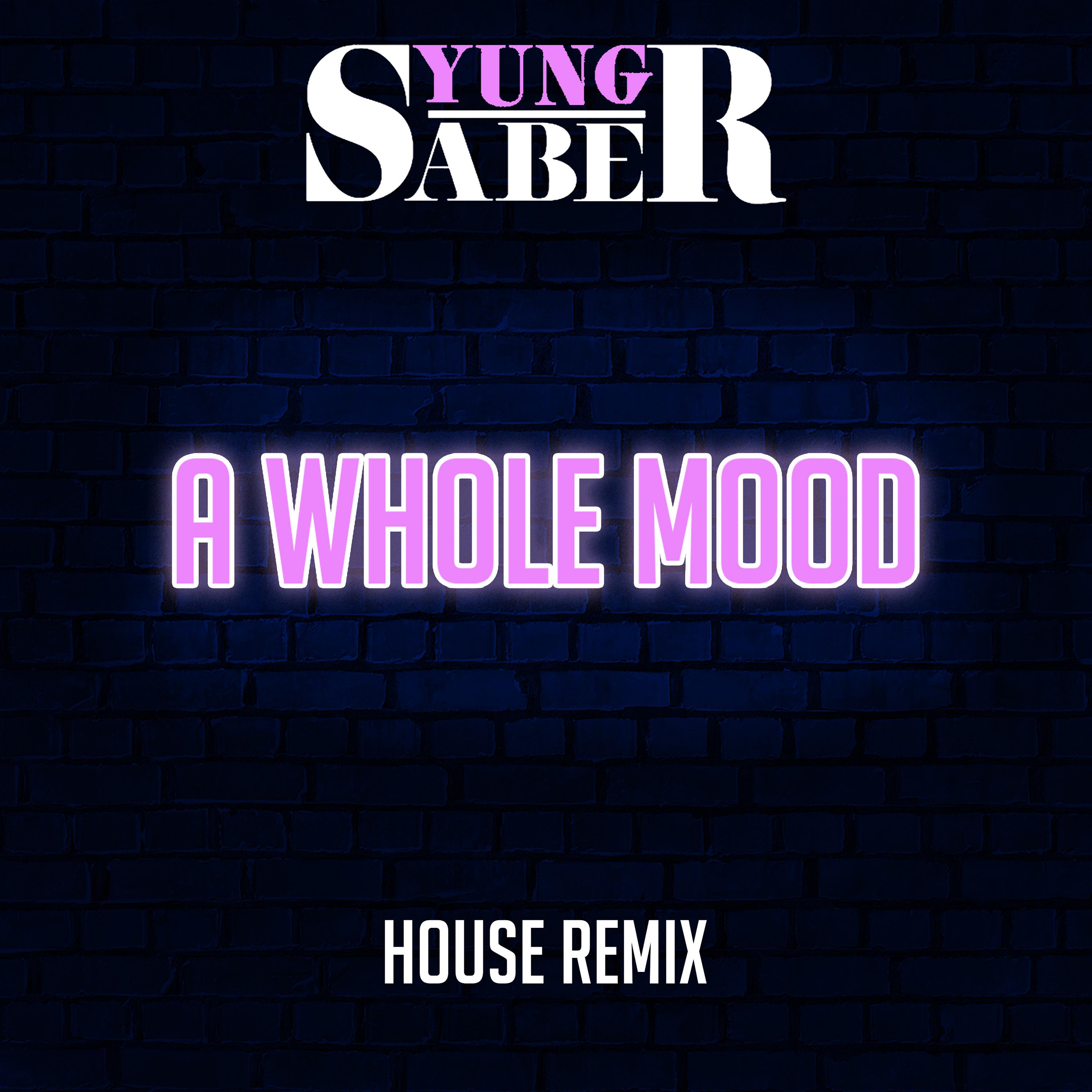 Постер альбома A Whole Mood (House Remix)