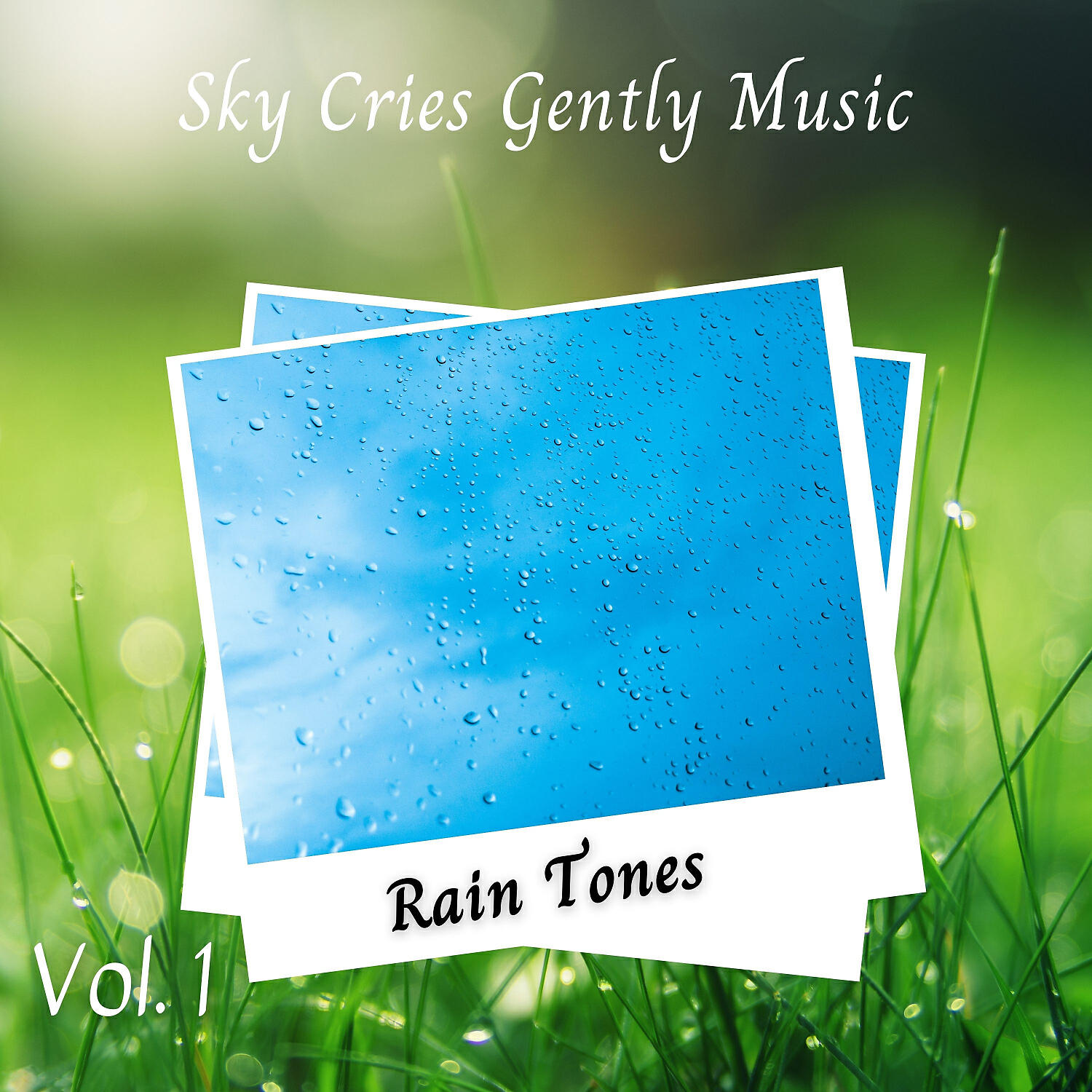 The Nature Soundscapes - Rain Sounds White Noise