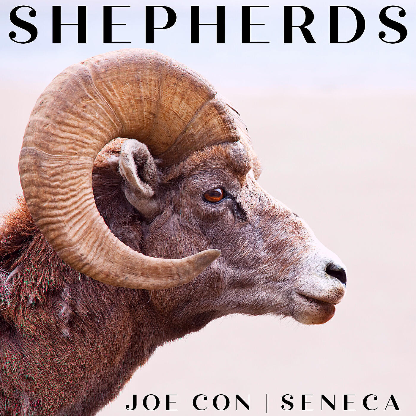 Joe Con - Shepherds