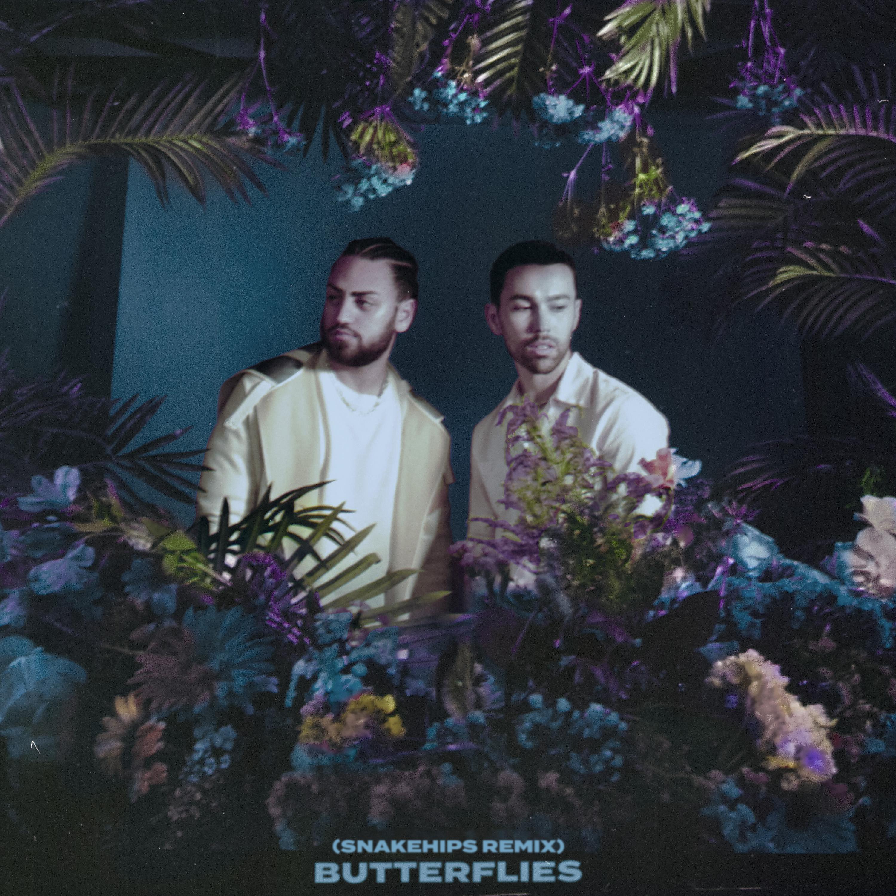 Постер альбома Butterflies (Snakehips Remix)