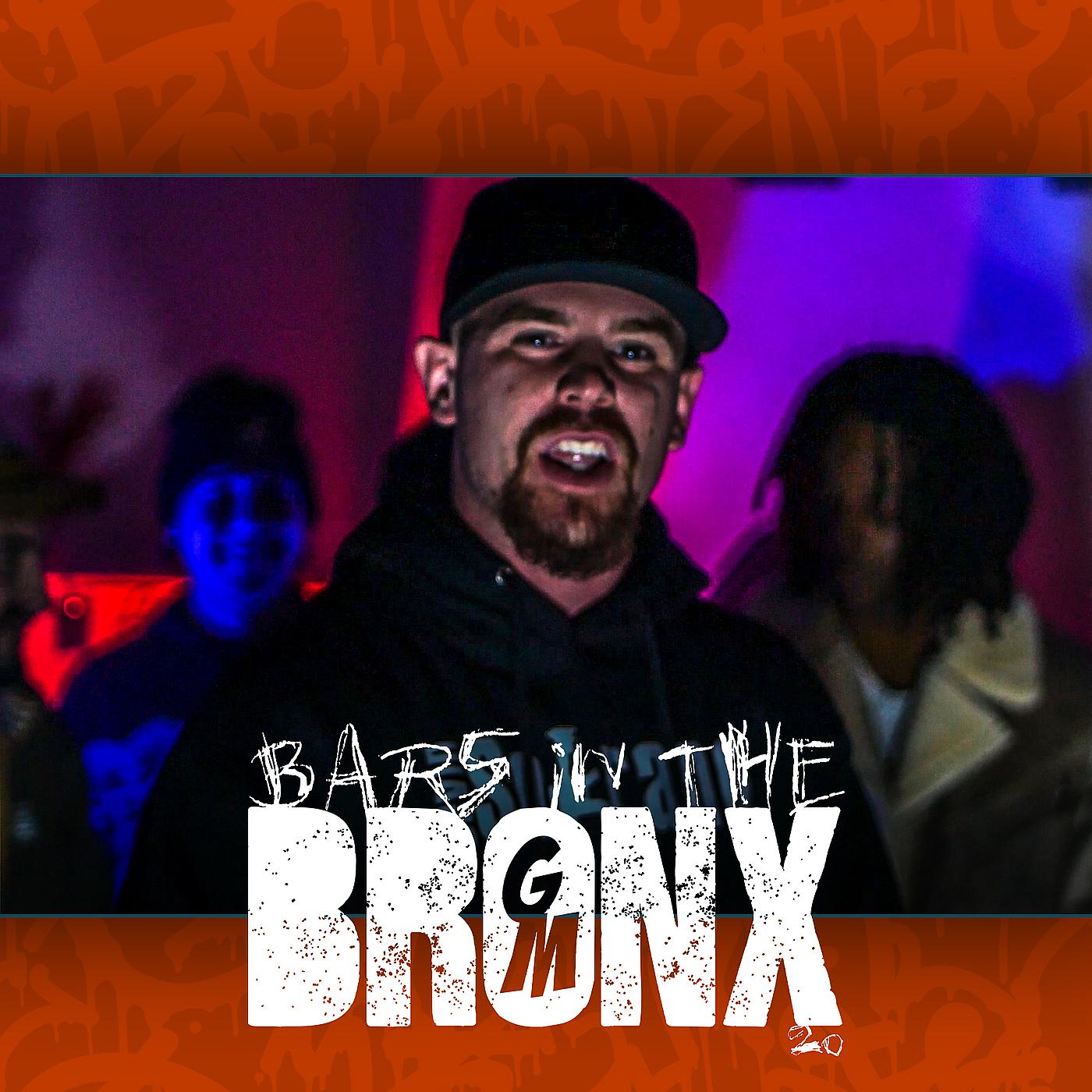 Постер альбома Bars in the Bronx 20