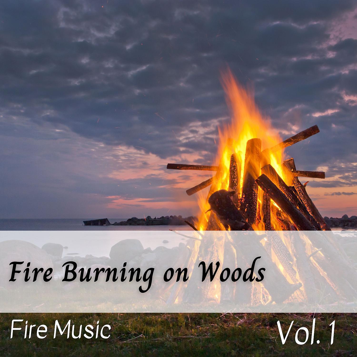 Постер альбома Fire Music: Fire Burning on Woods Vol. 1