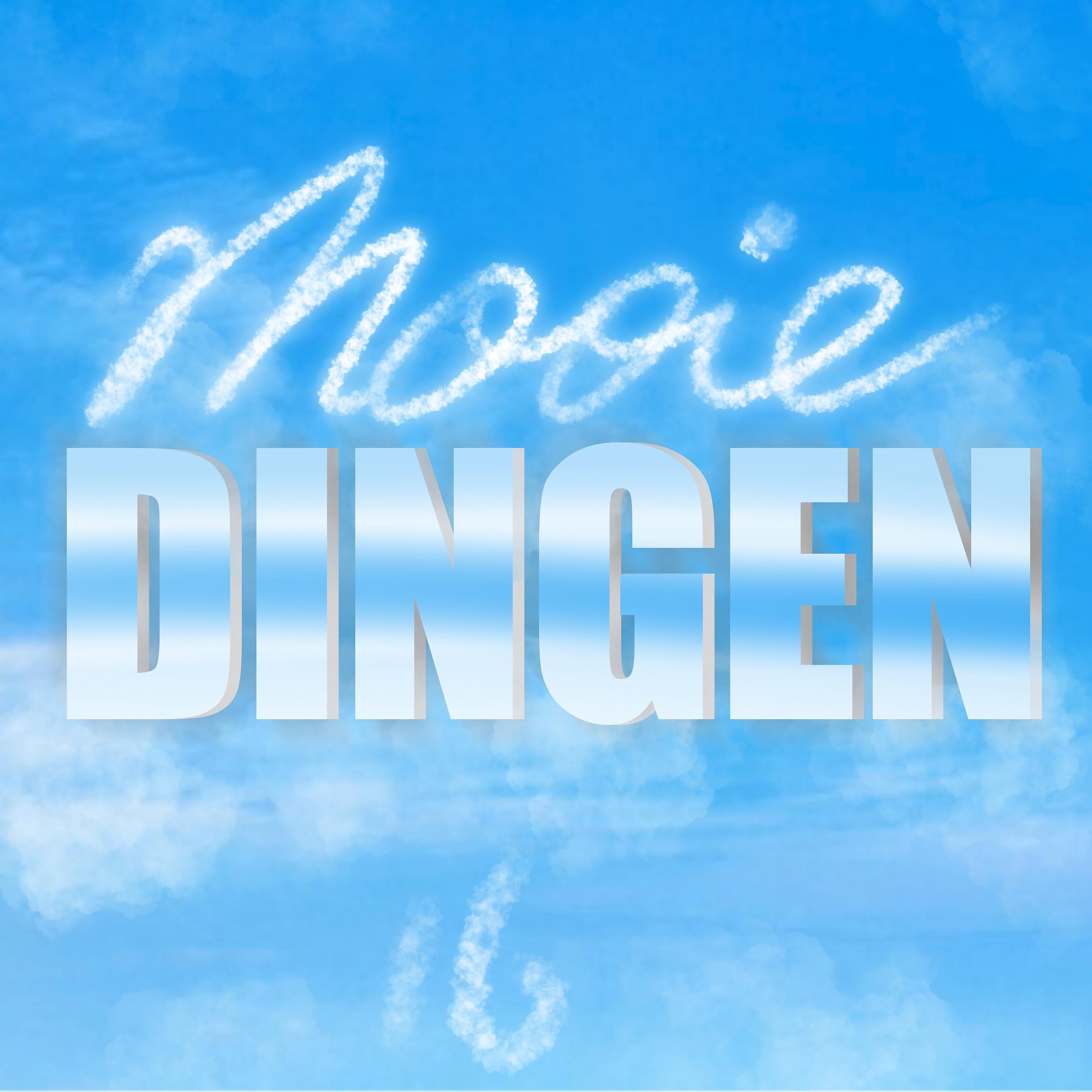 Постер альбома Mooie Dingen