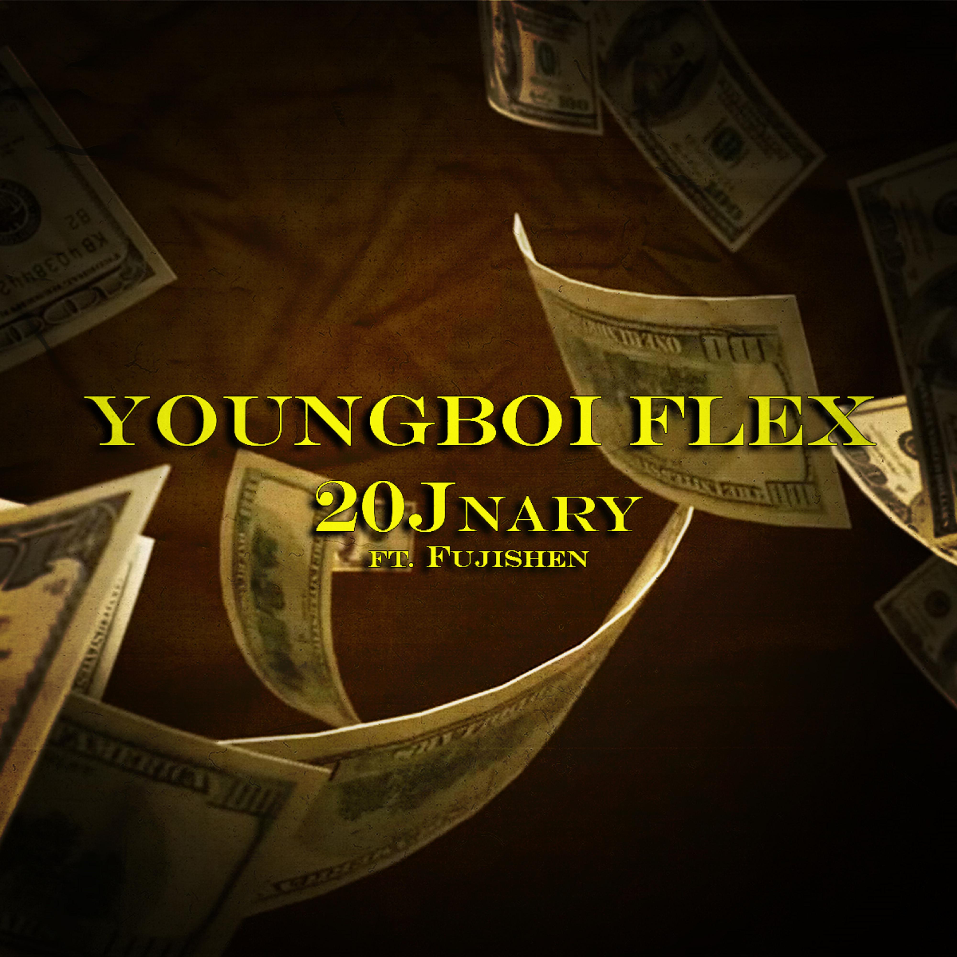 Постер альбома Youngboi Flex (feat. Fujishen)