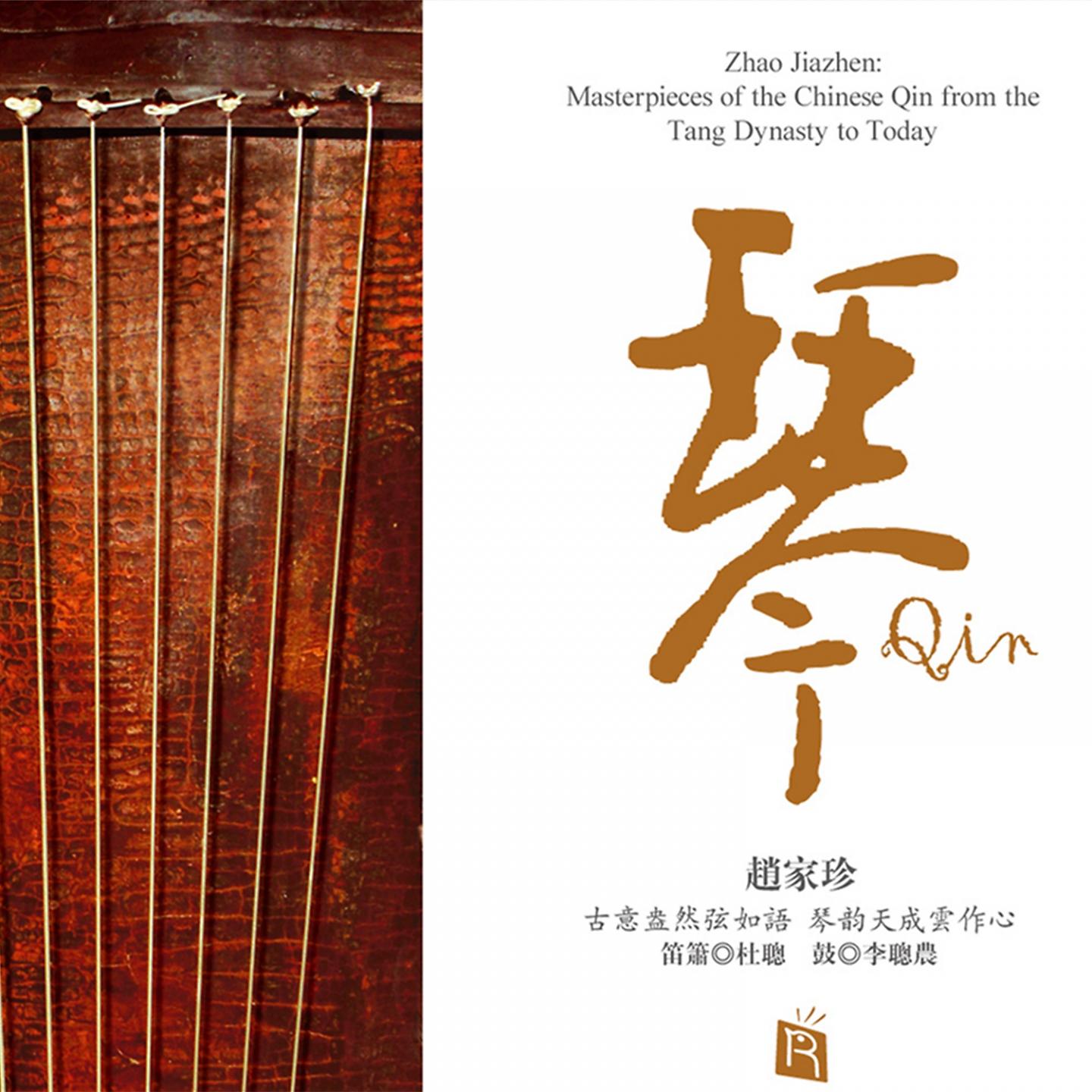 Постер альбома Qin