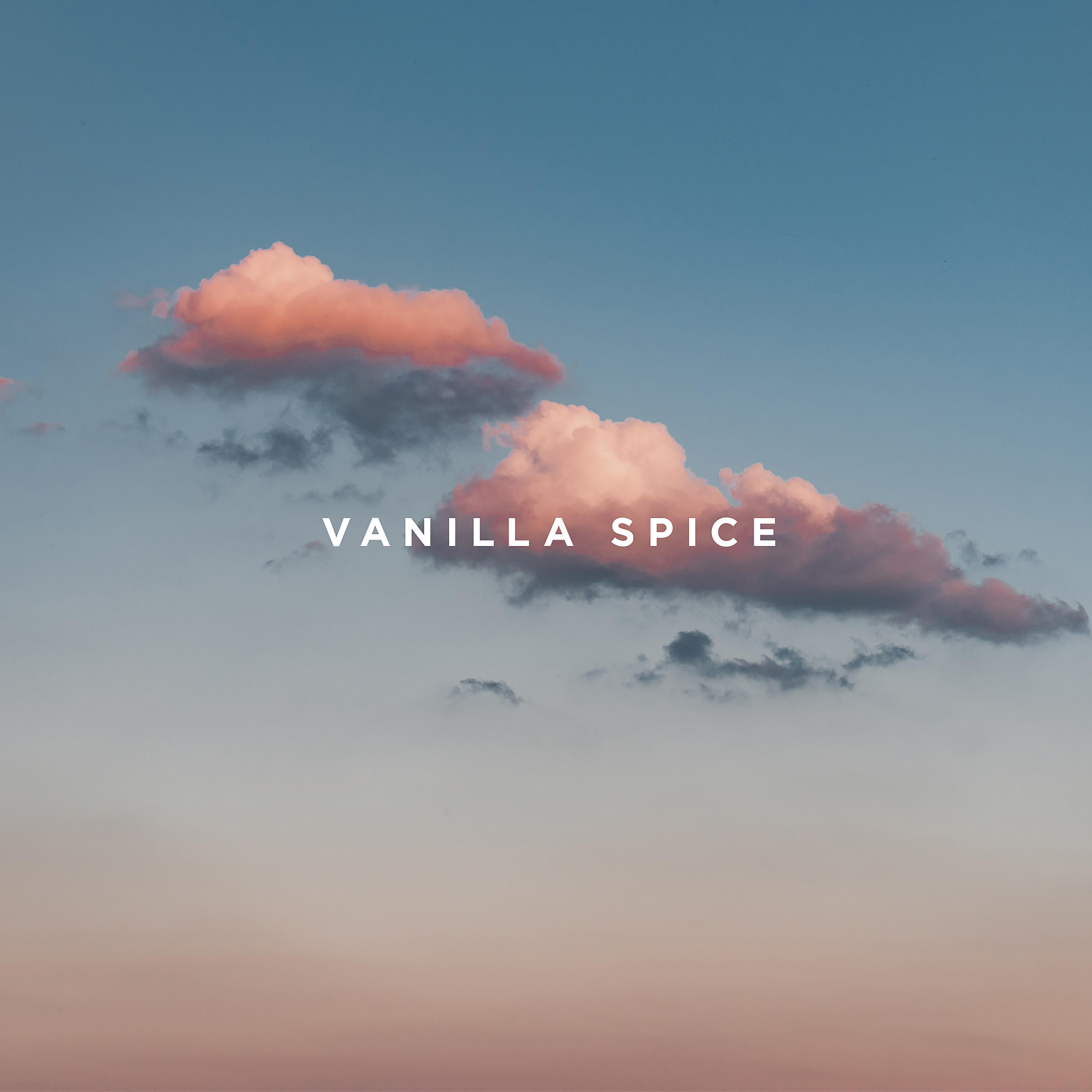 Постер альбома Vanilla Spice