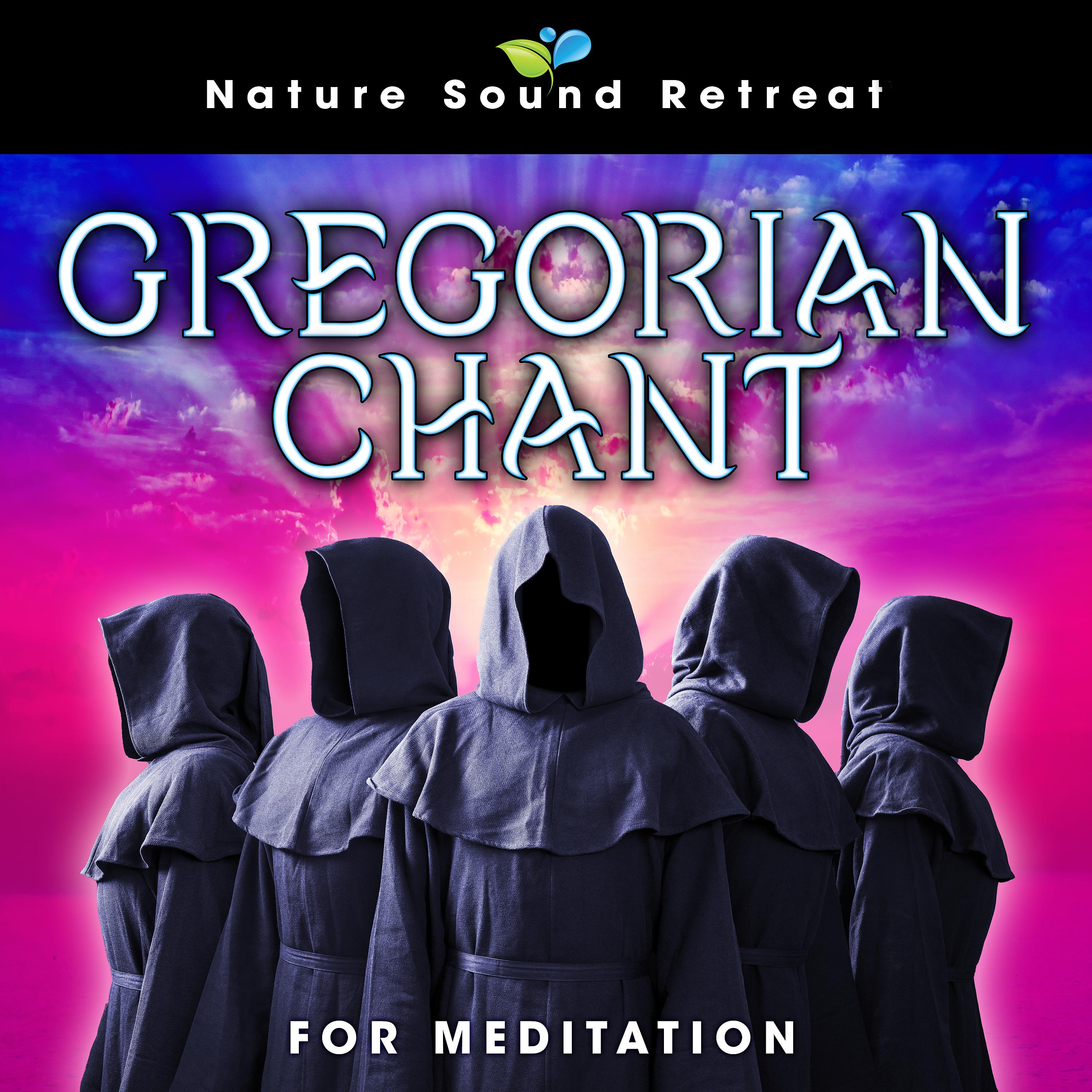 Постер альбома Gregorian Chant for Meditation