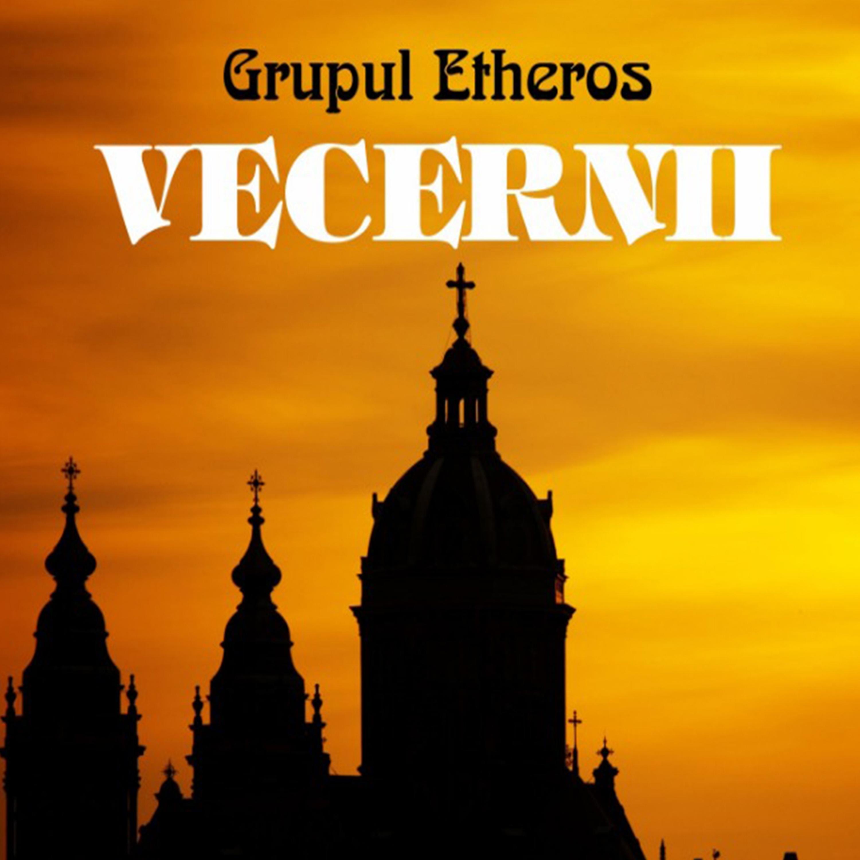 Постер альбома Vecernii