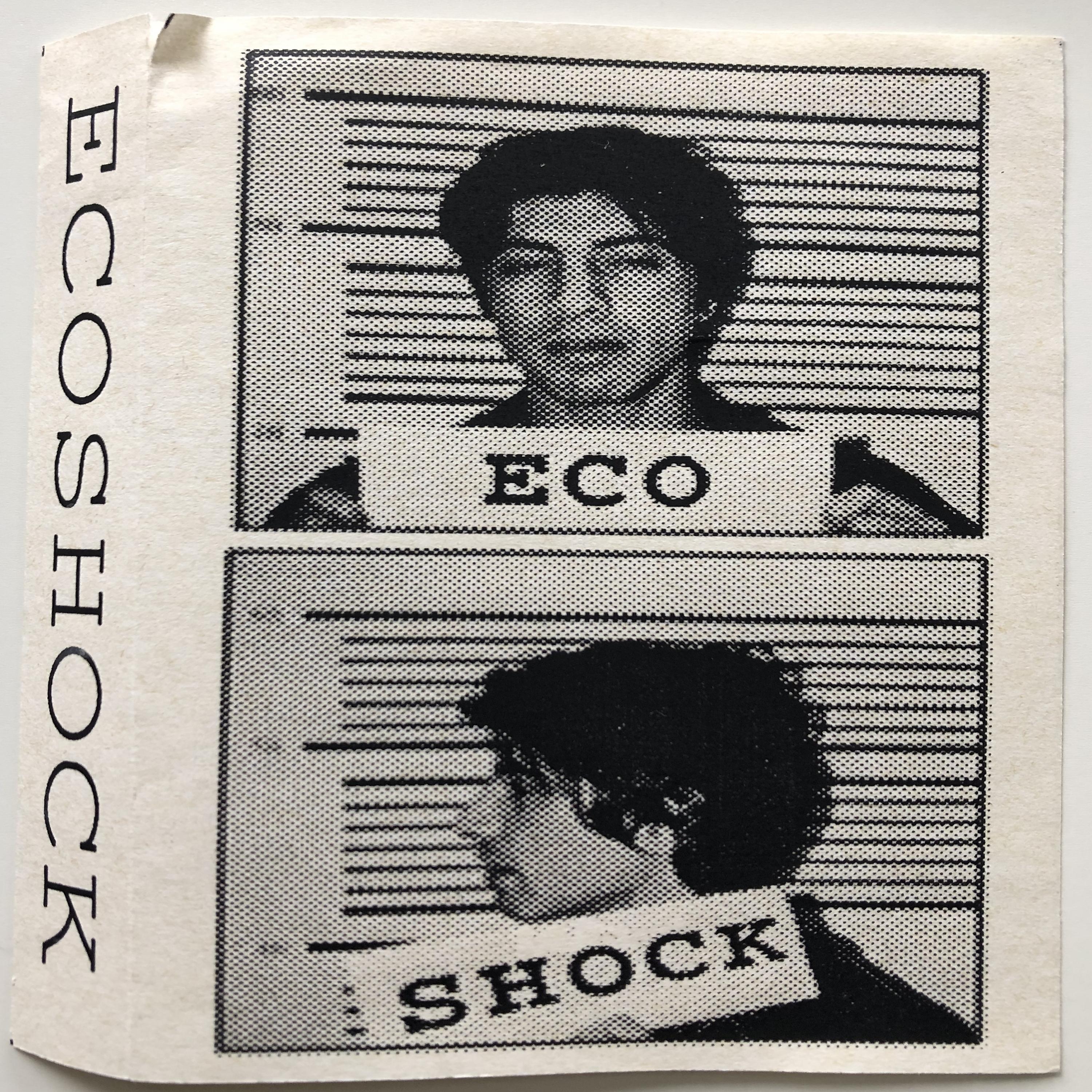 Постер альбома Ecoshock