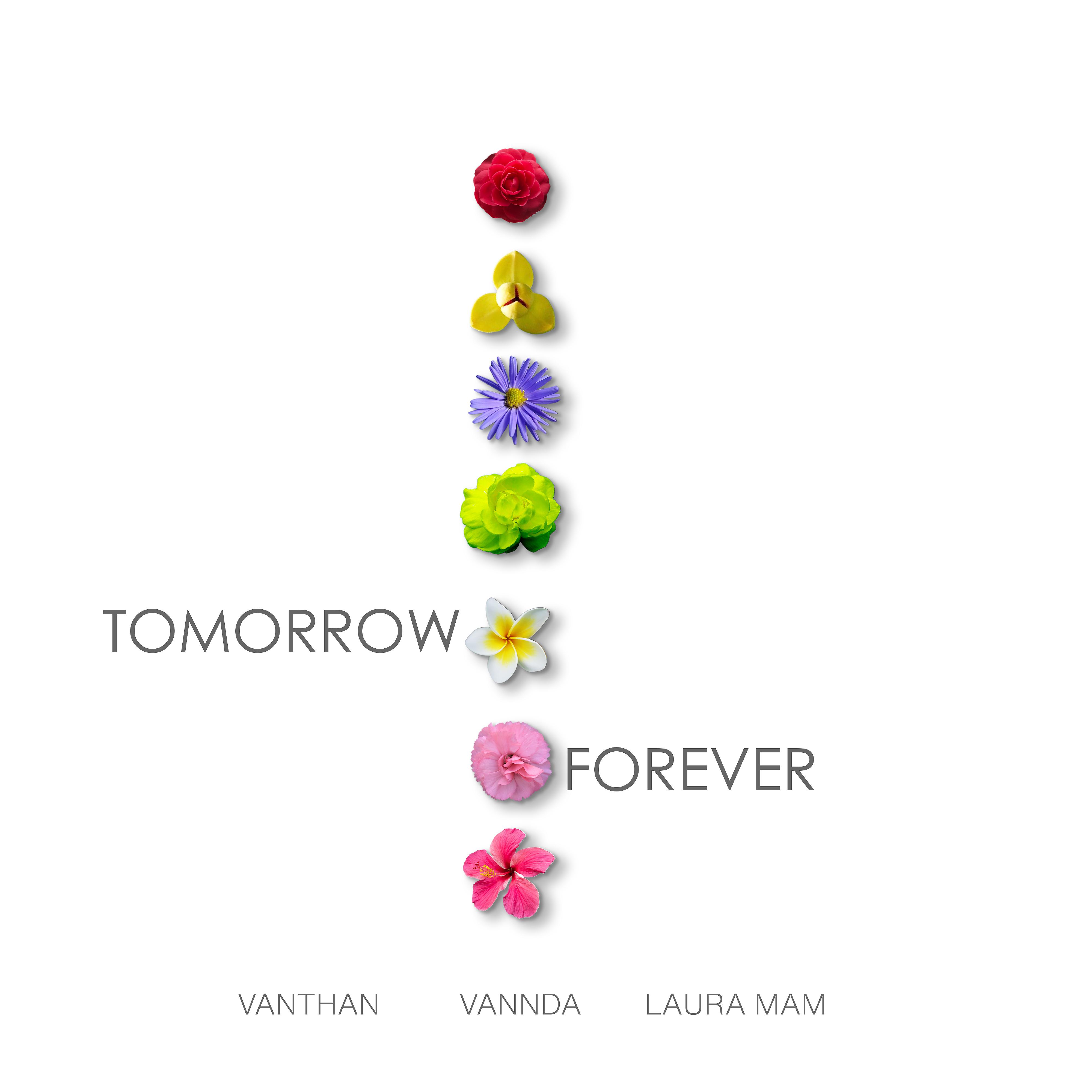 Постер альбома Tomorrow Forever (feat. Laura Mam & VannDa)