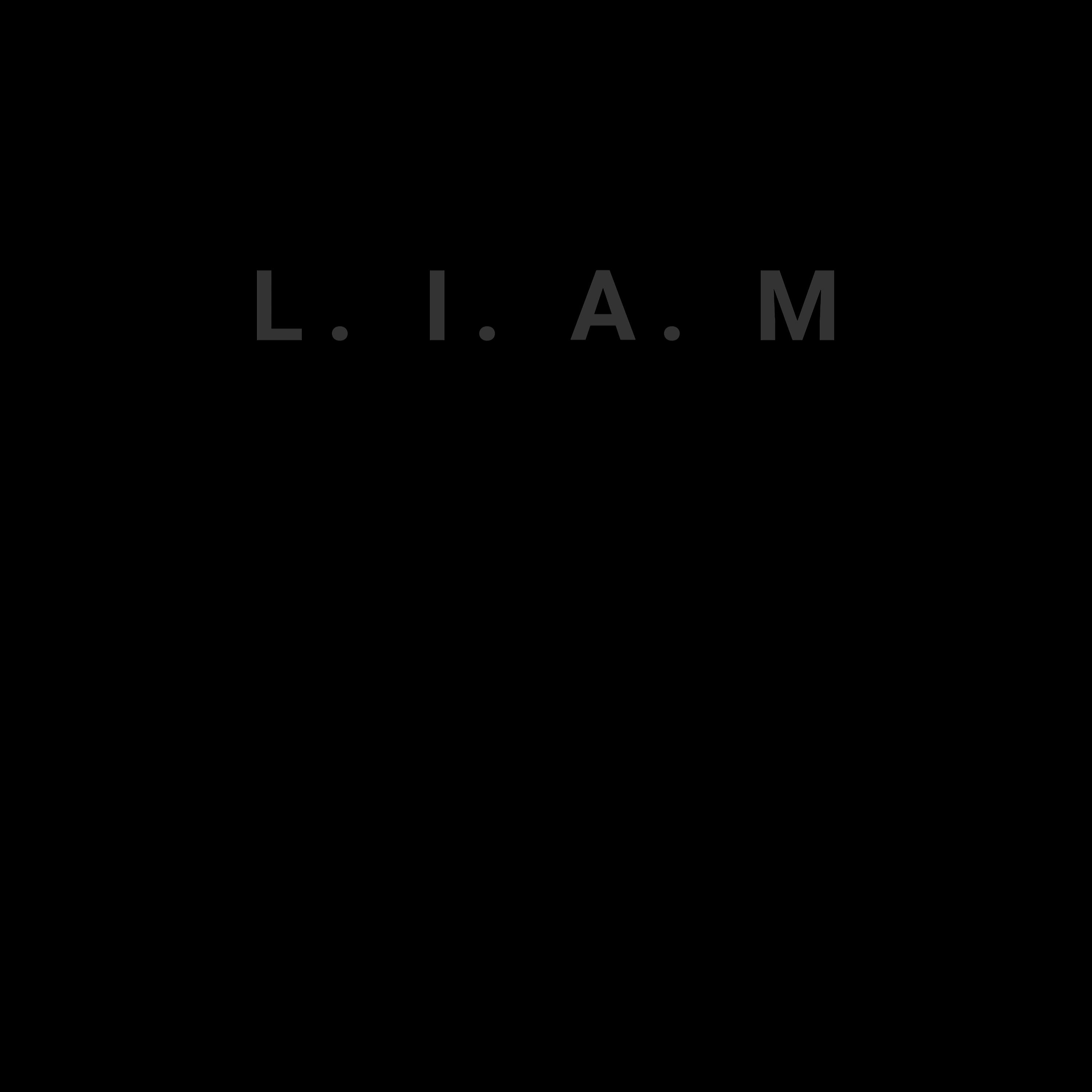 Постер альбома L. I. A. M