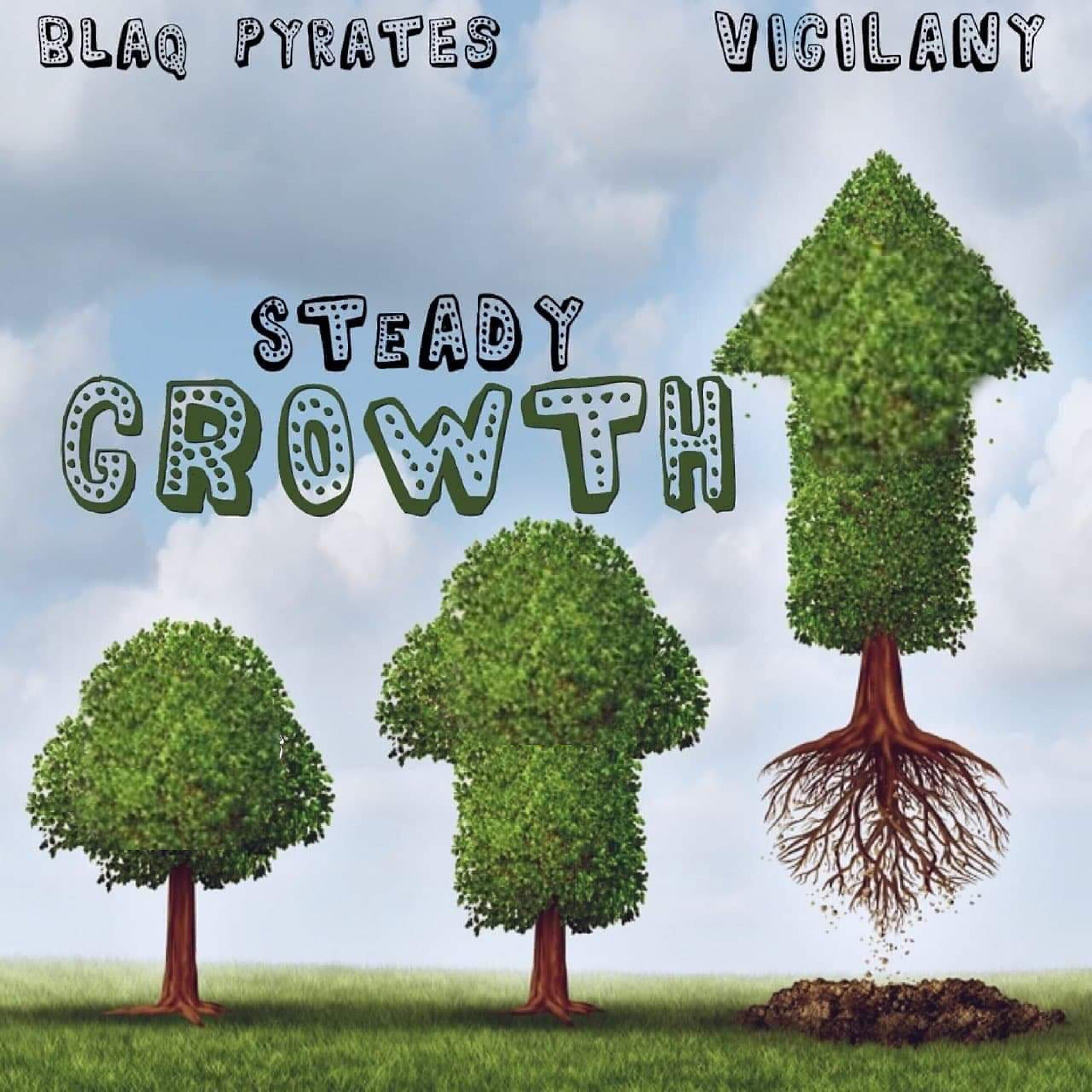 Blaq Pyrates - Steady Growth (Radio Edit)