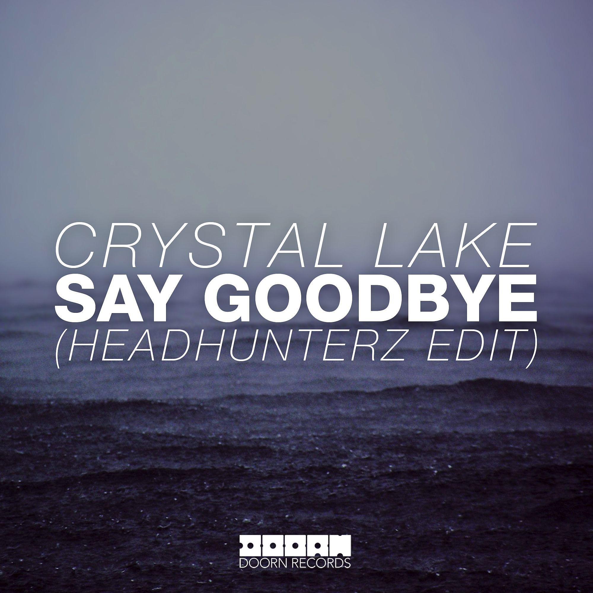Постер альбома Say Goodbye (Headhunterz Radio Edit)