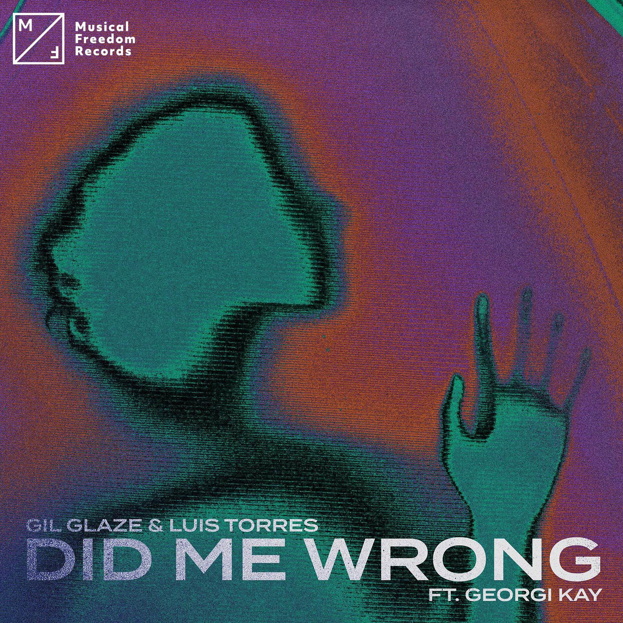 Постер альбома Did Me Wrong (feat. Georgi Kay)
