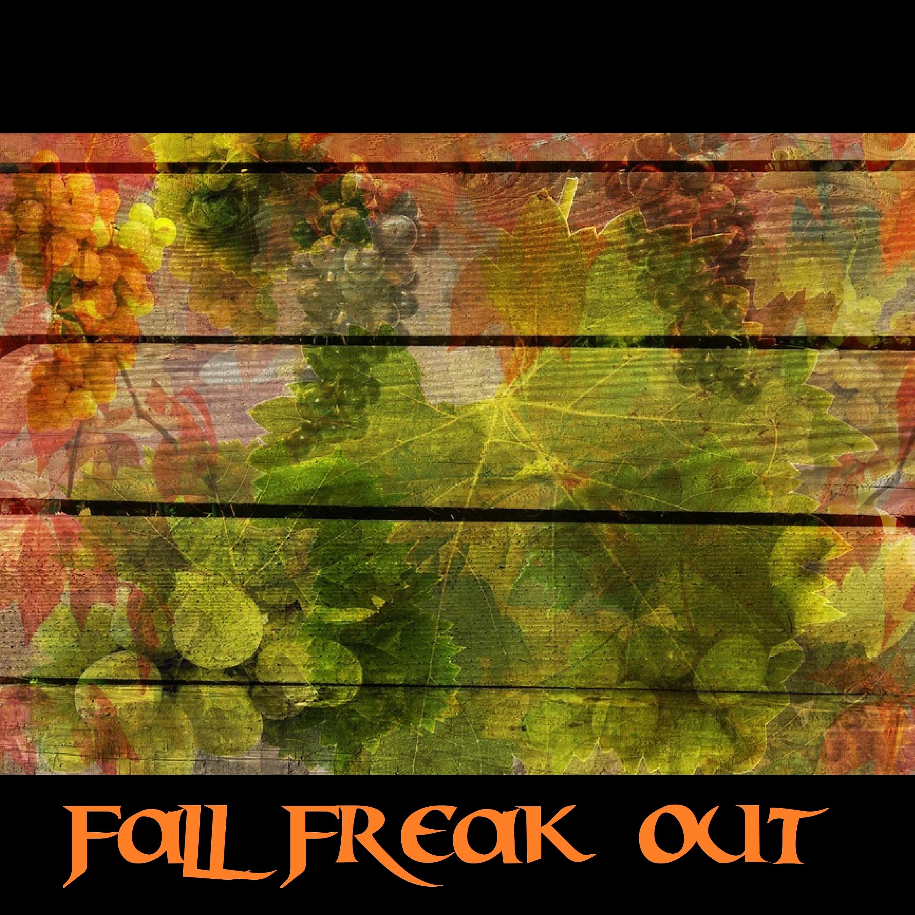Постер альбома Fall Freak Out
