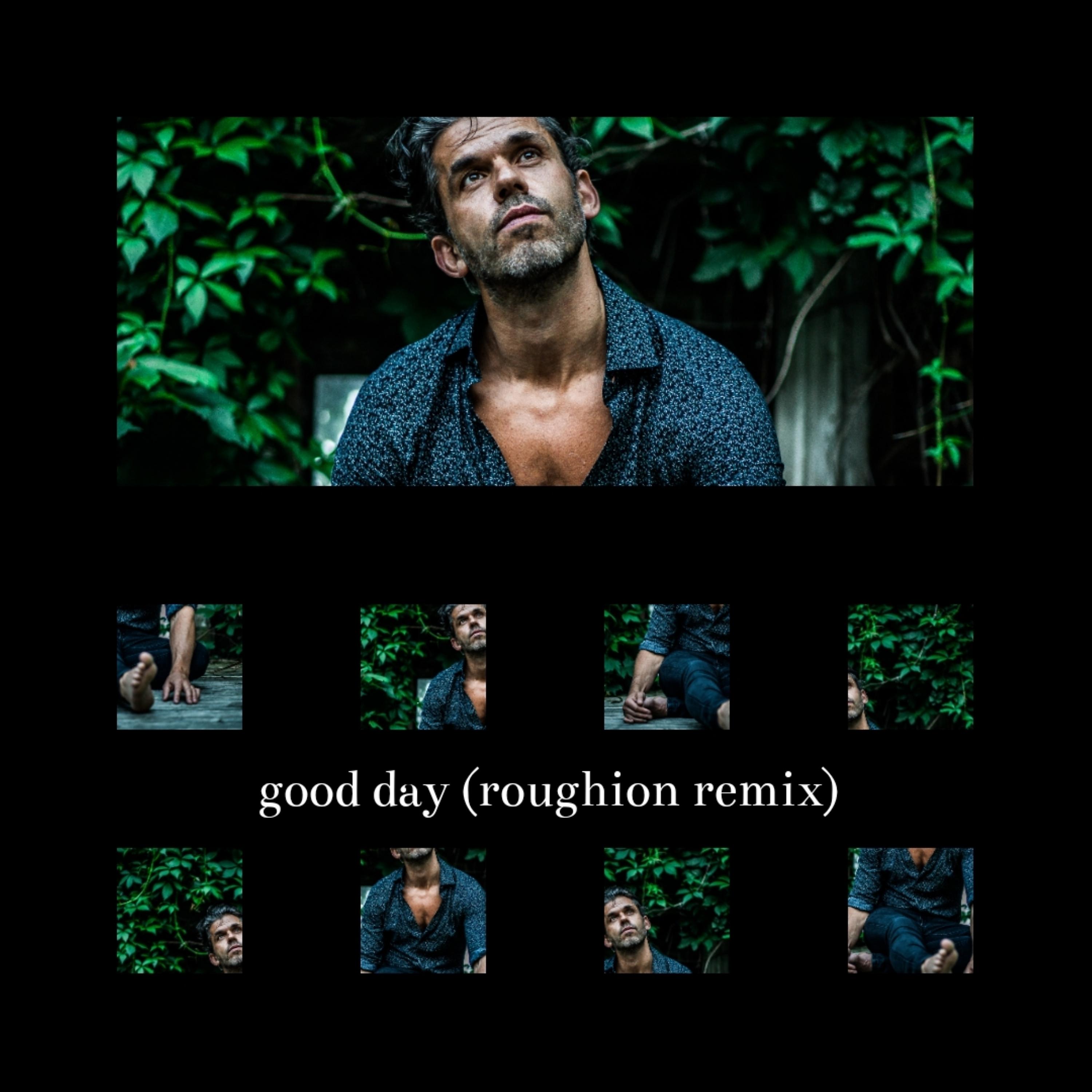 Постер альбома Good Day (Roughion Remix)