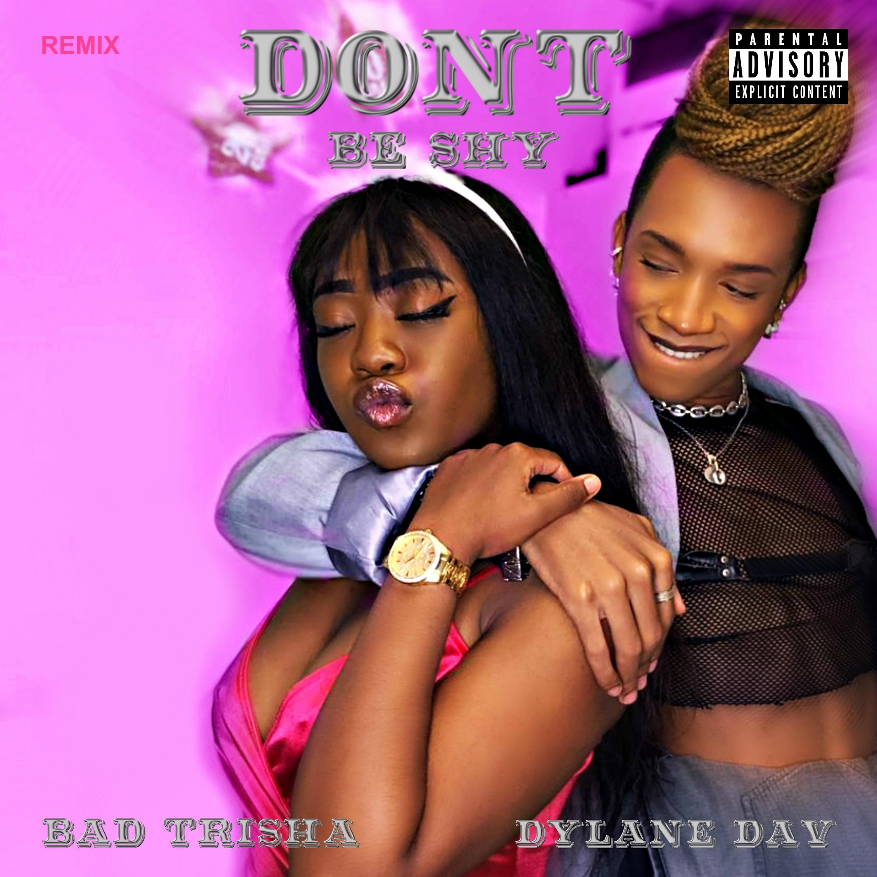 Постер альбома Don't Be Shy (Remix)