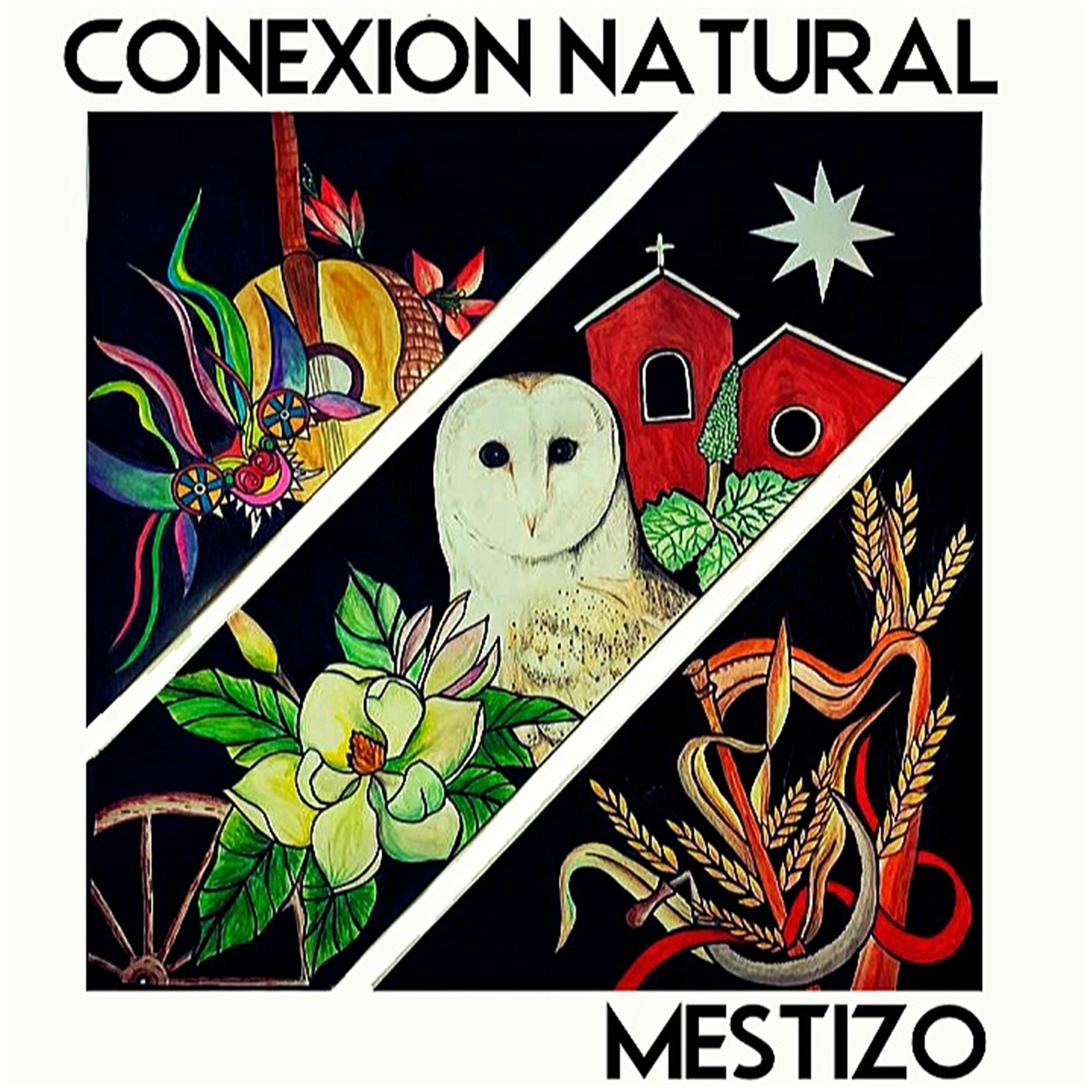 Постер альбома Conexión Natural