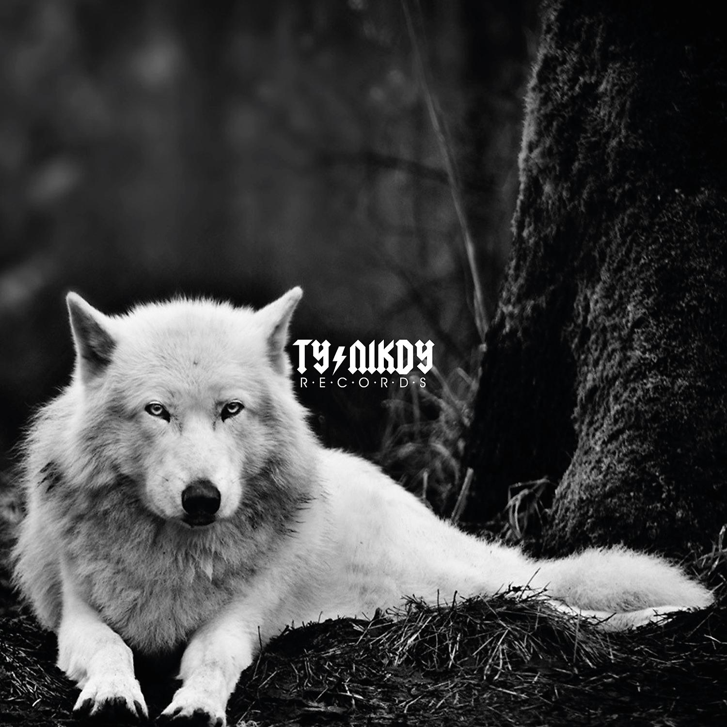 Постер альбома Tanec s vlky
