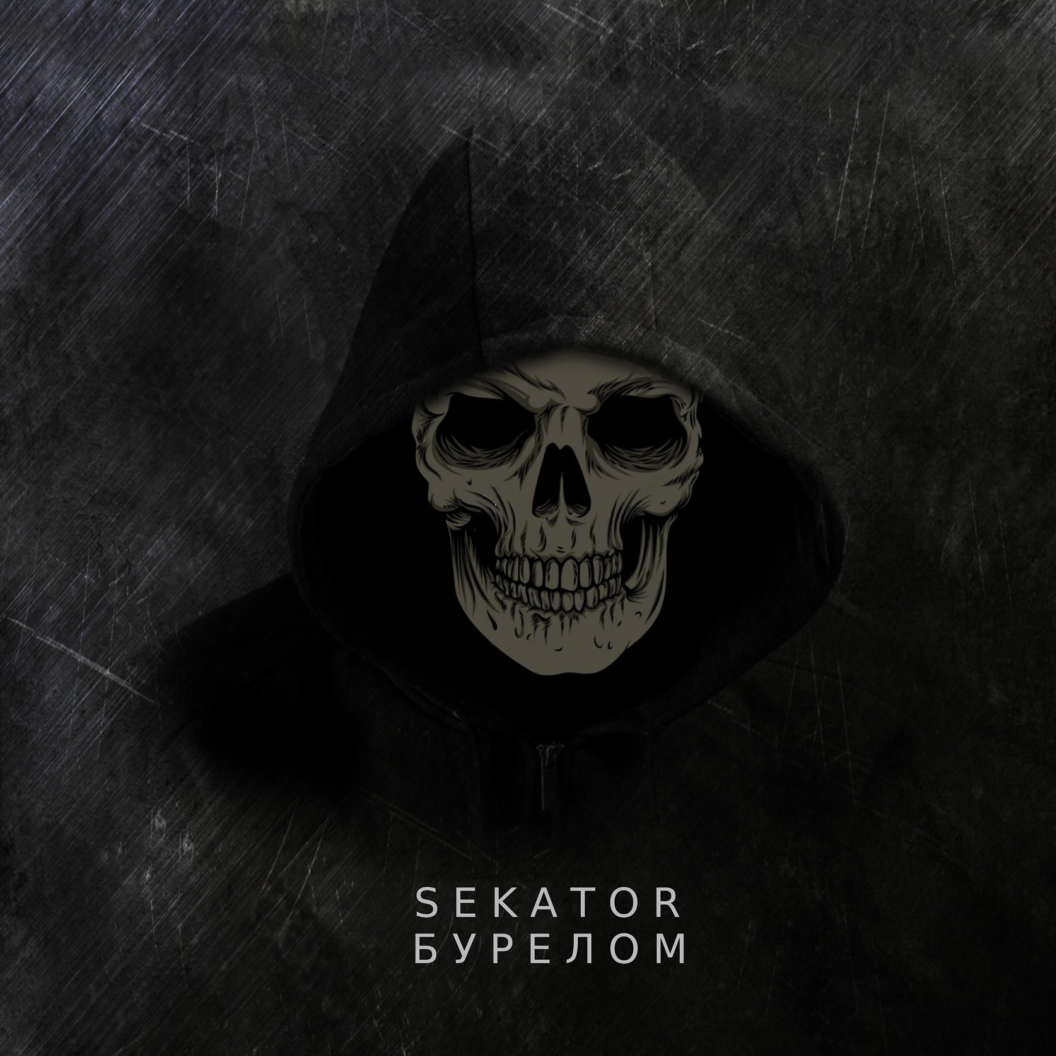 Альбом Бурелом исполнителя Sekator