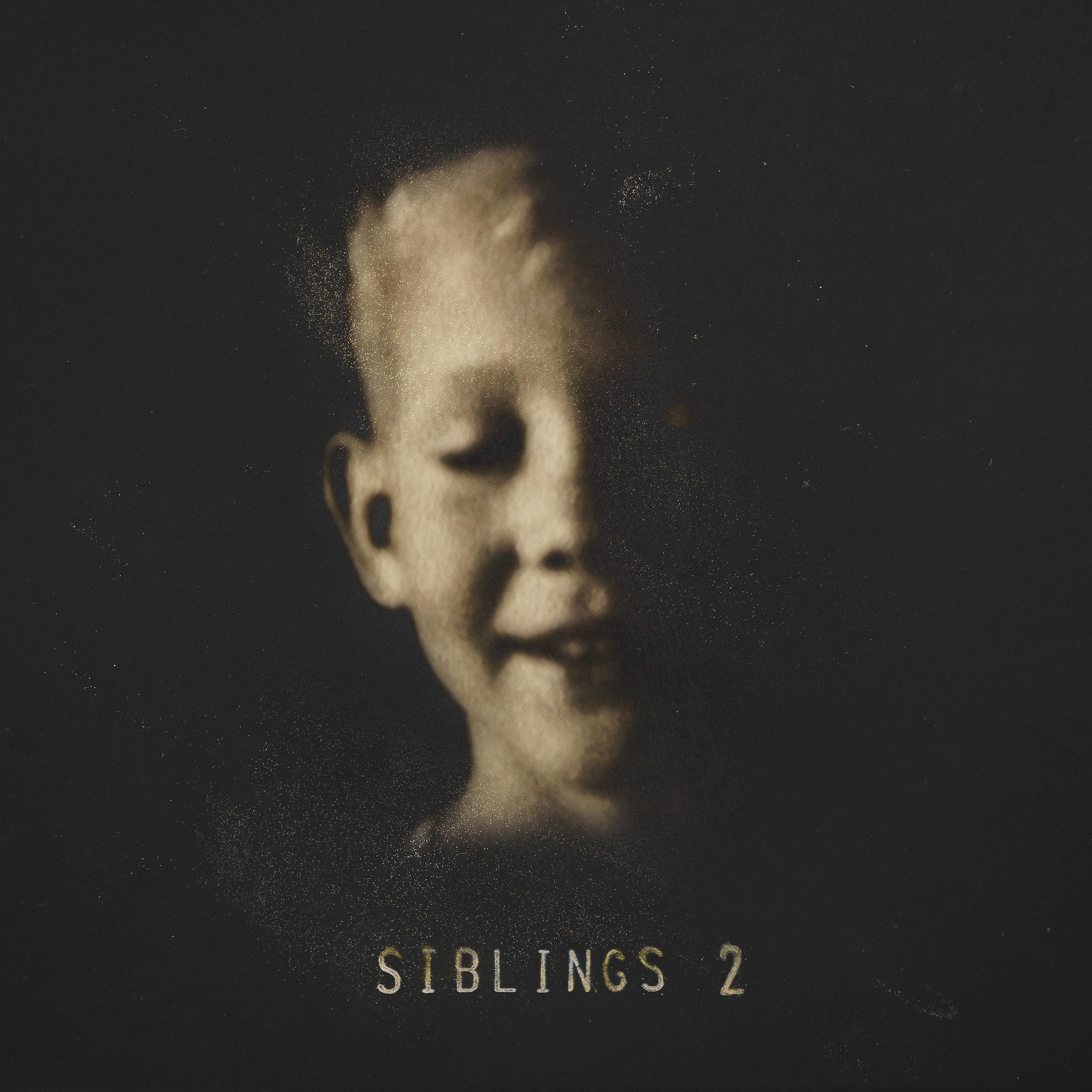 Постер альбома Siblings 2