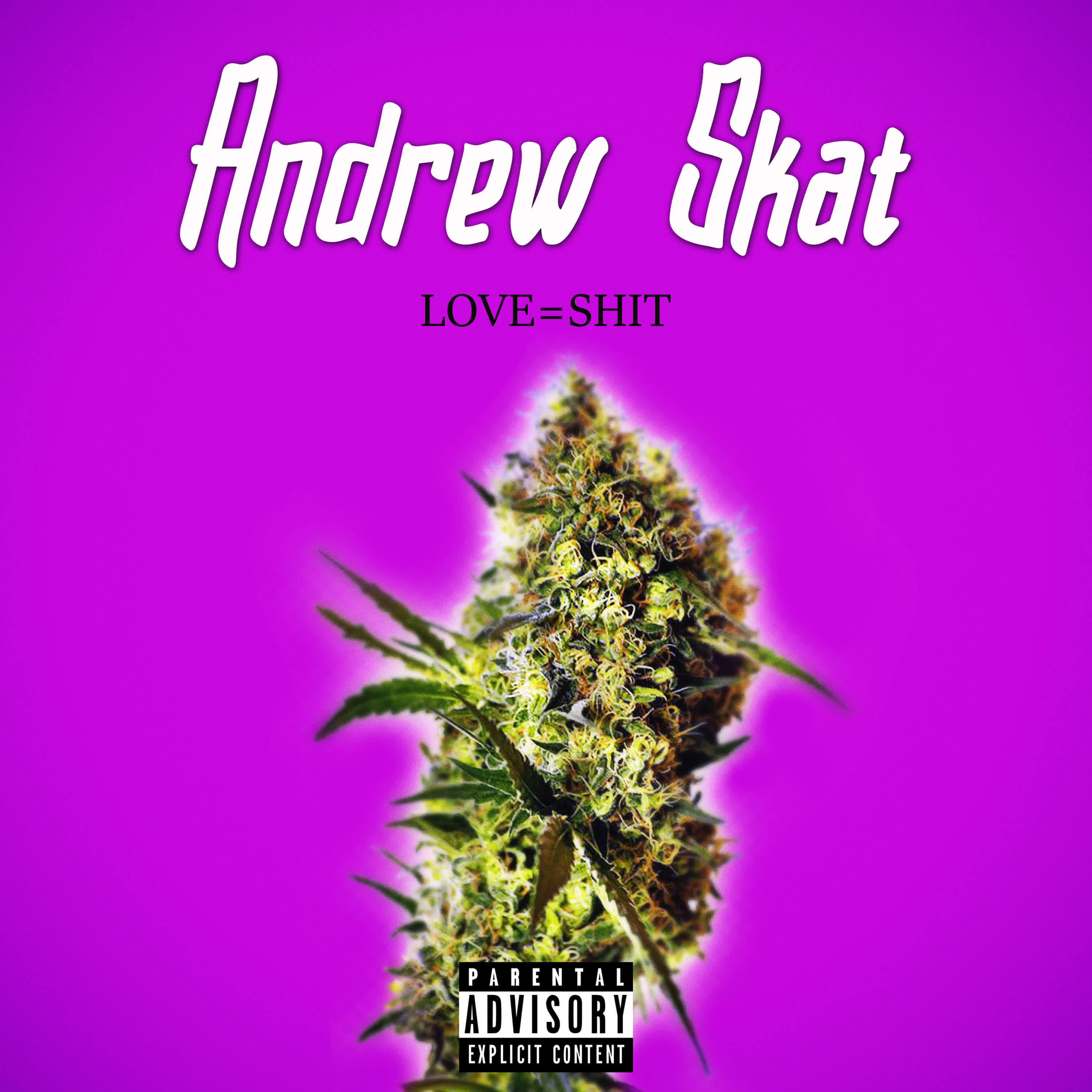 Andrew Skat - Love=shit