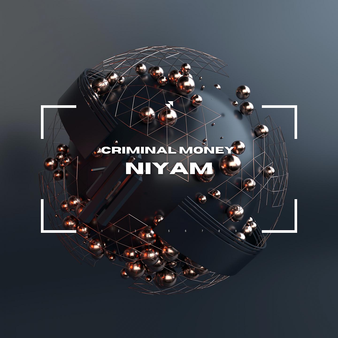 Постер альбома Niyam