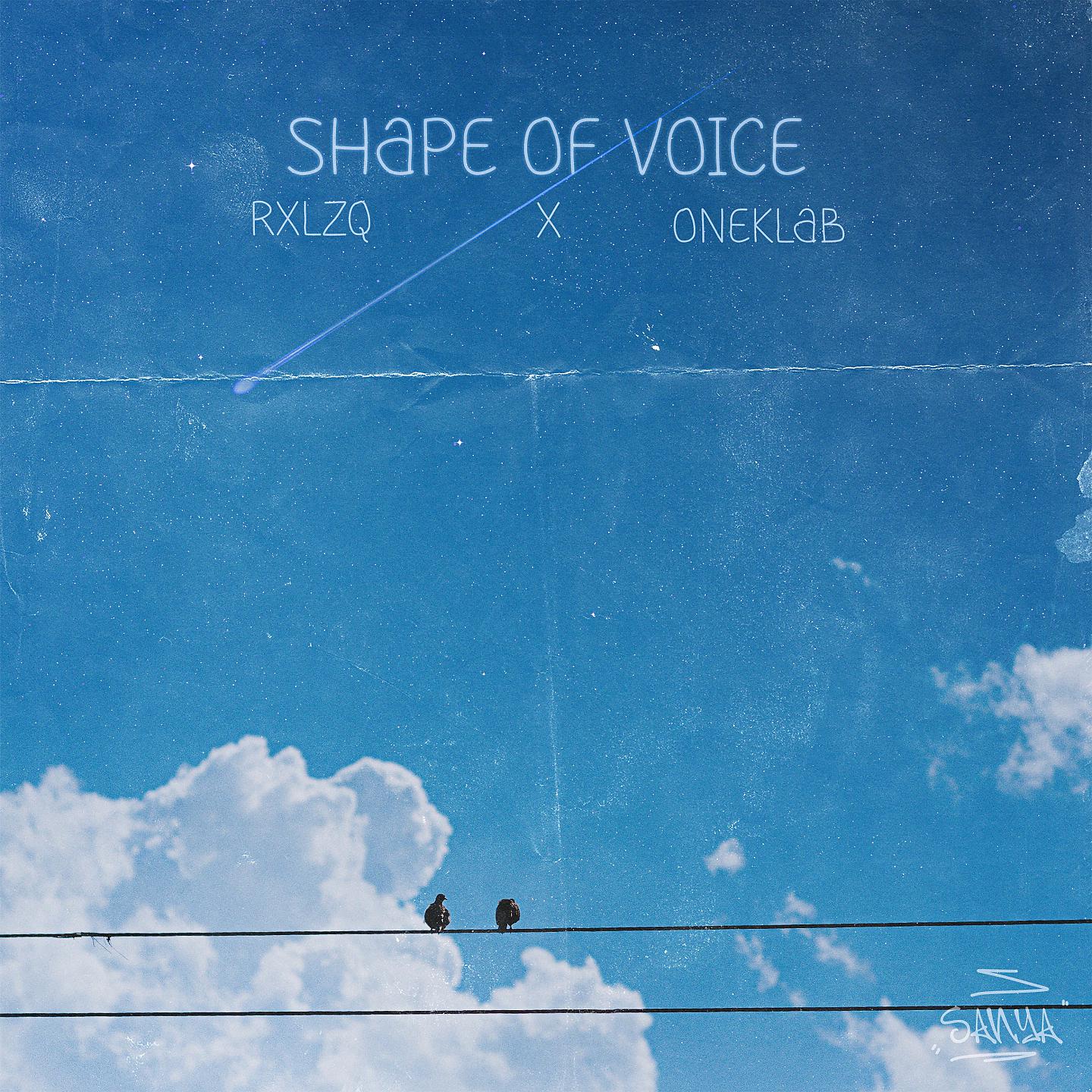 Постер альбома Shape Of Voice