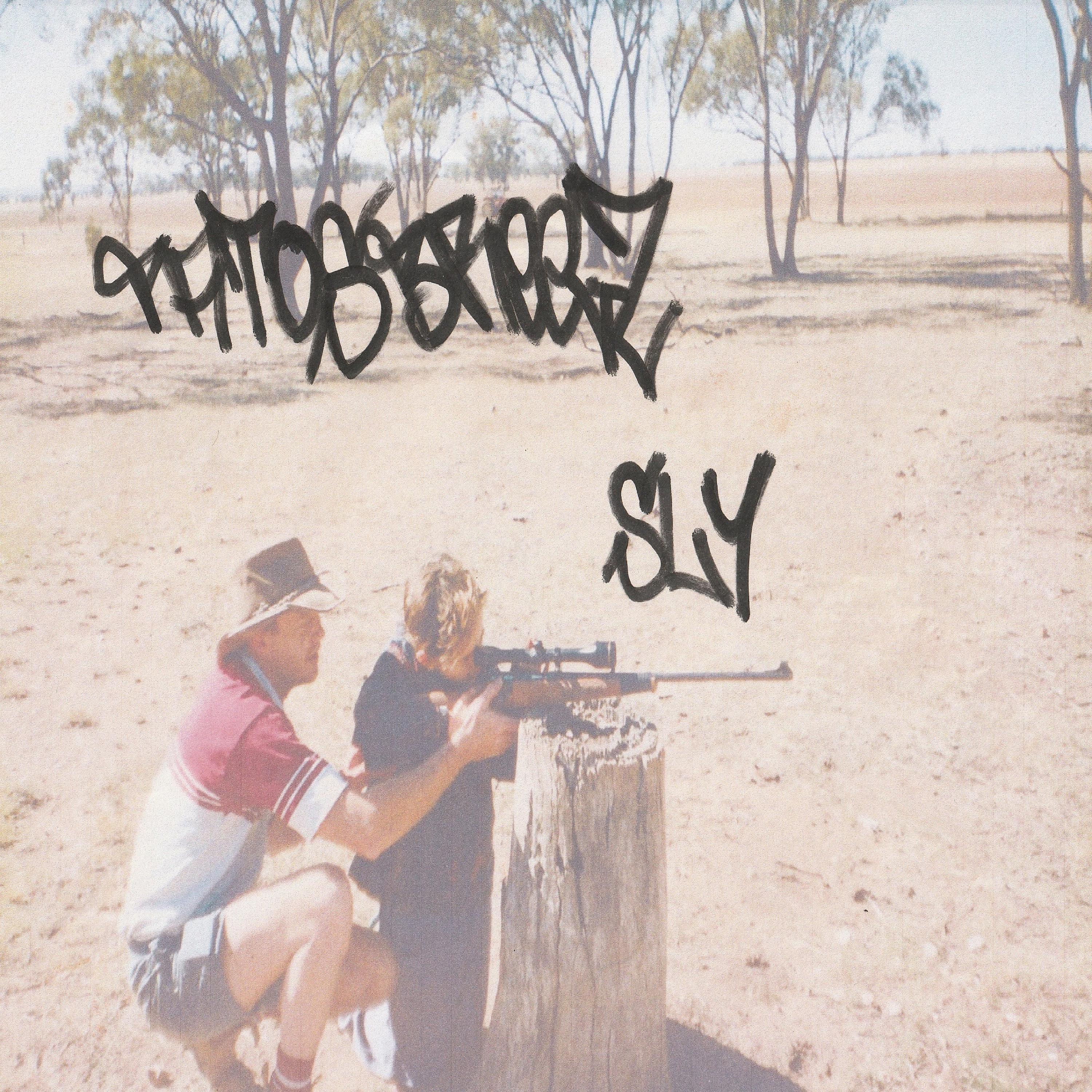 Постер альбома Sly