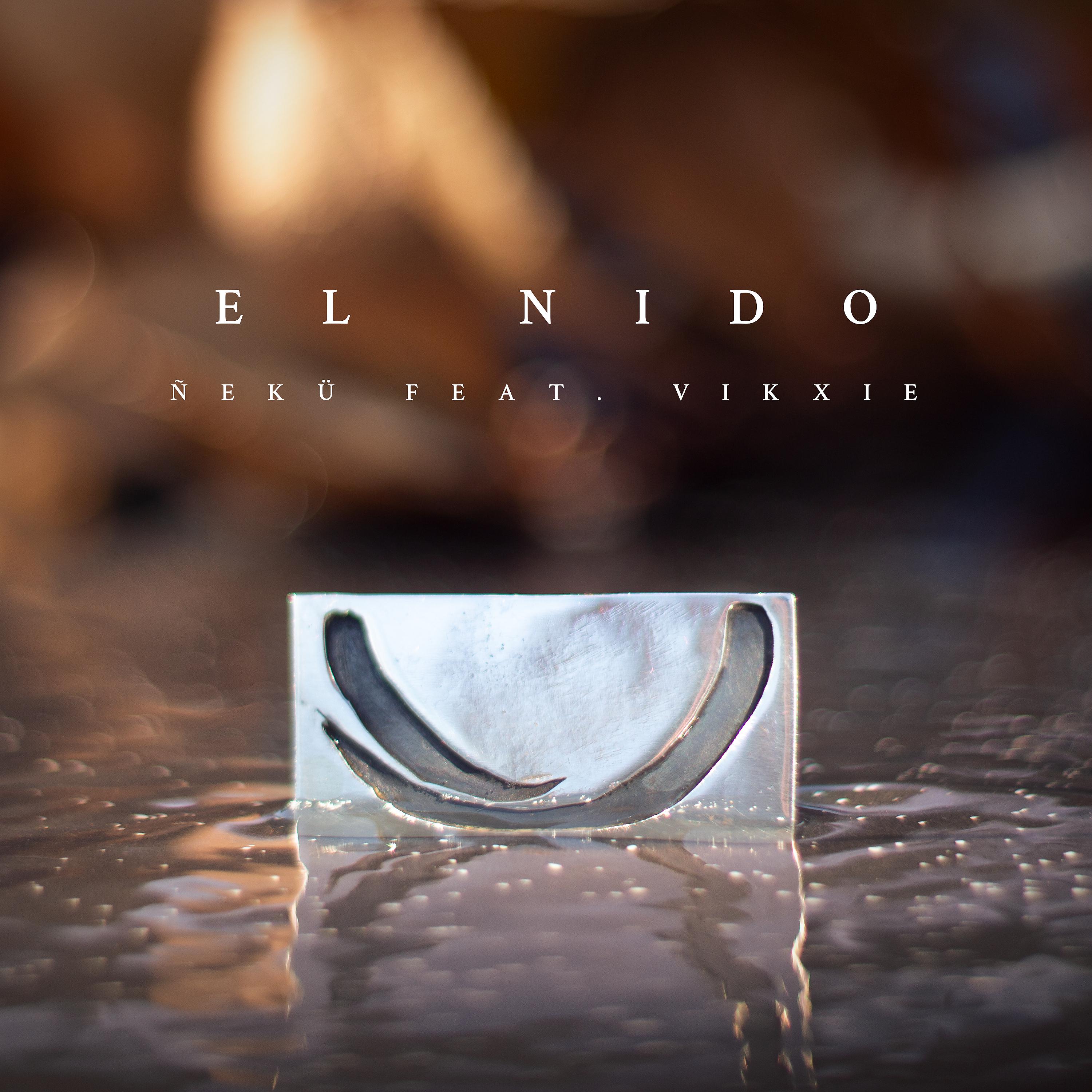 Постер альбома El Nido