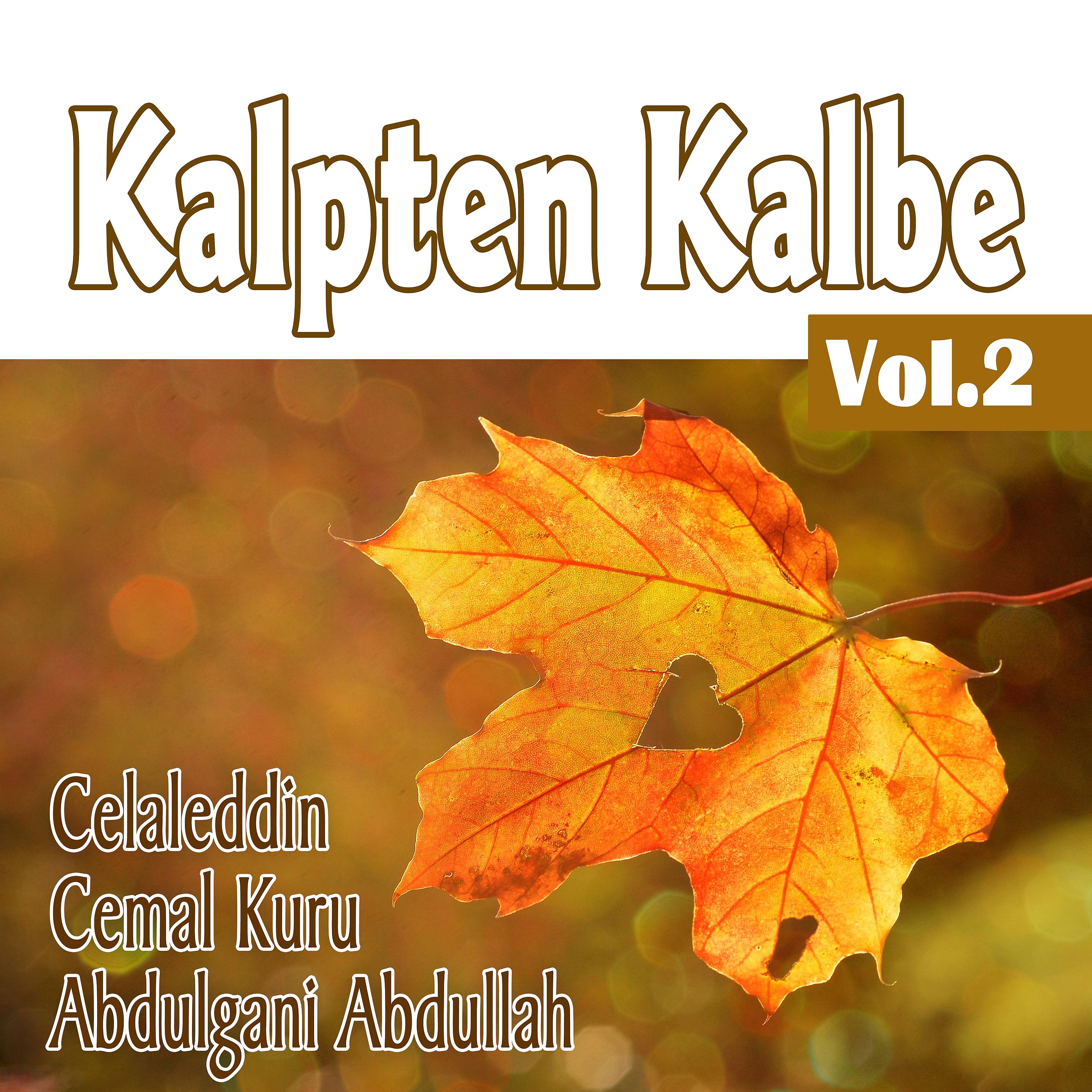 Постер альбома Kalpten Kalbe, Vol.2