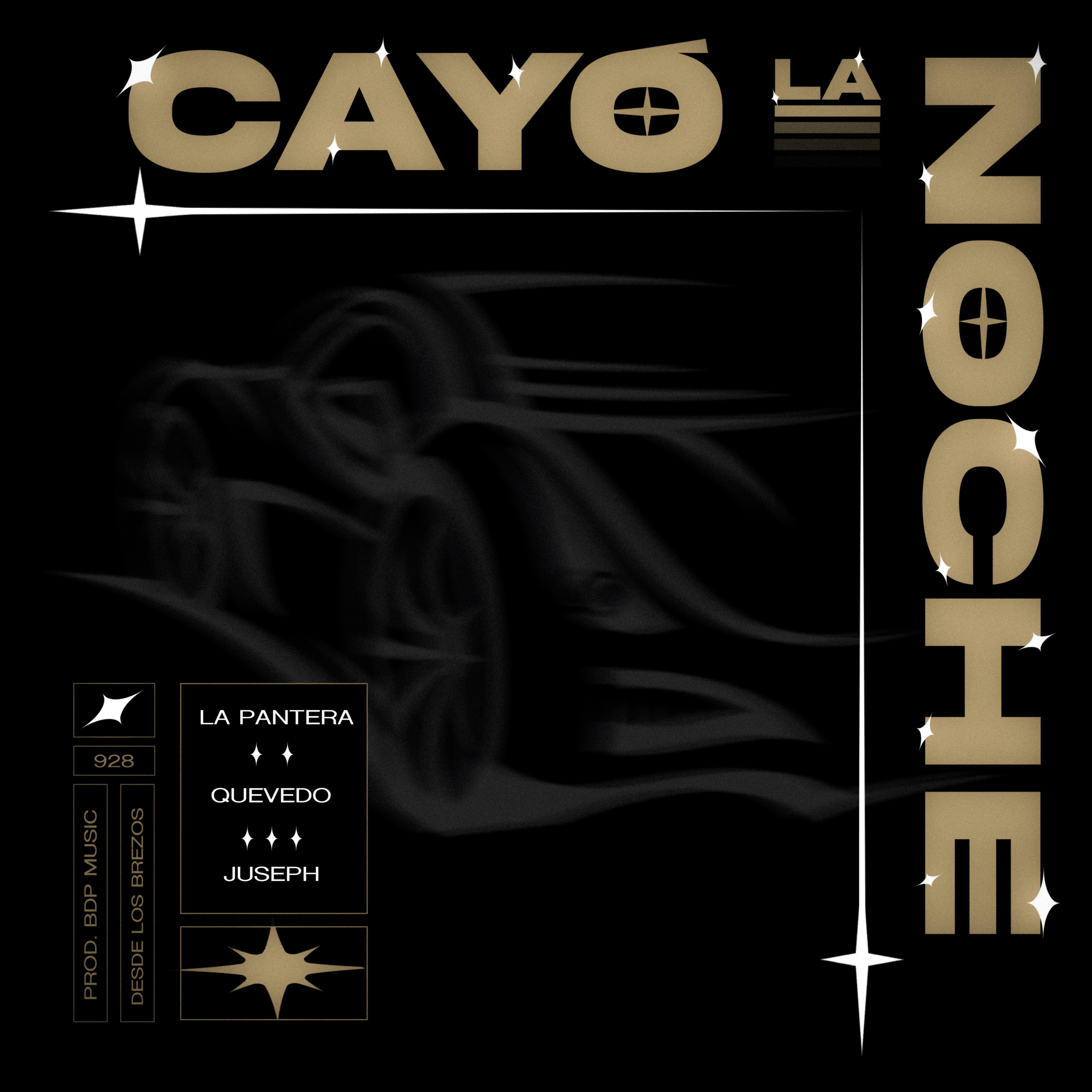 Постер альбома Cayó La Noche